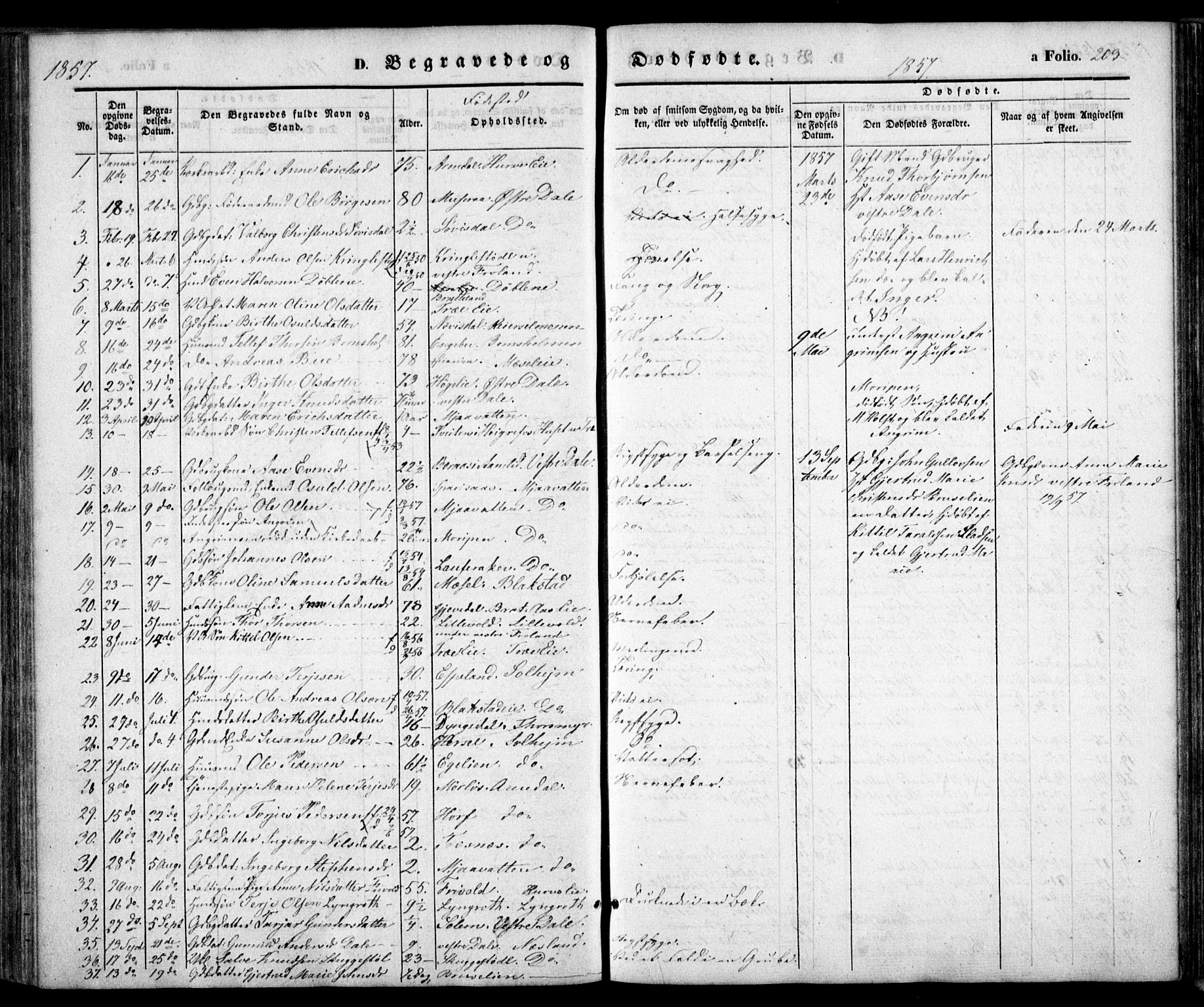 Froland sokneprestkontor, SAK/1111-0013/F/Fa/L0002: Parish register (official) no. A 2, 1845-1863, p. 203