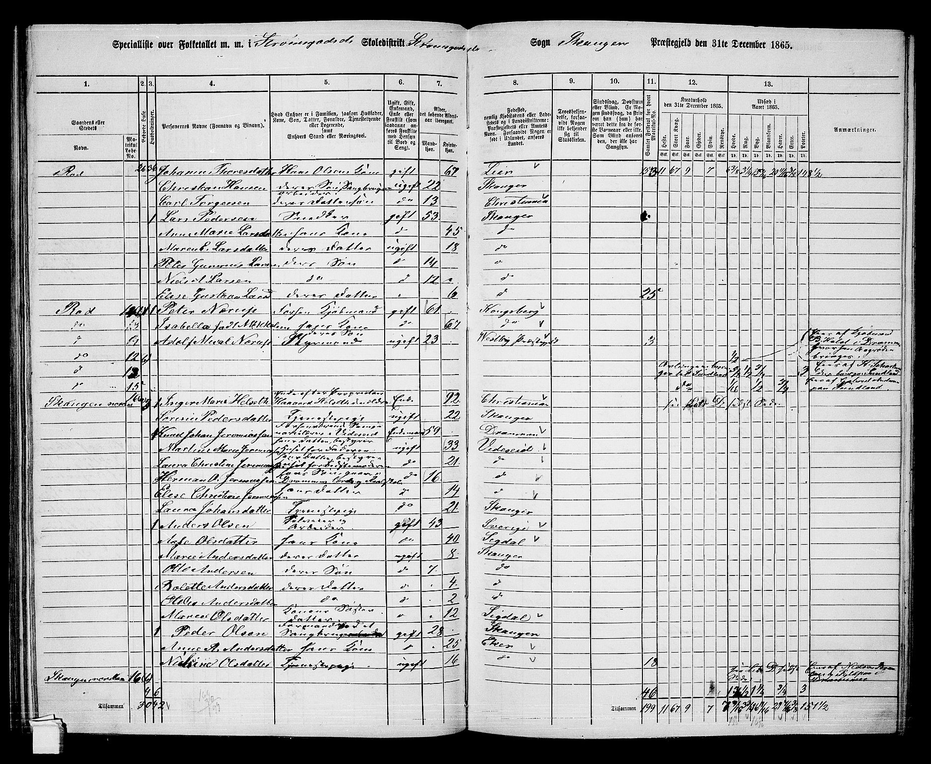 RA, 1865 census for Skoger, 1865, p. 121