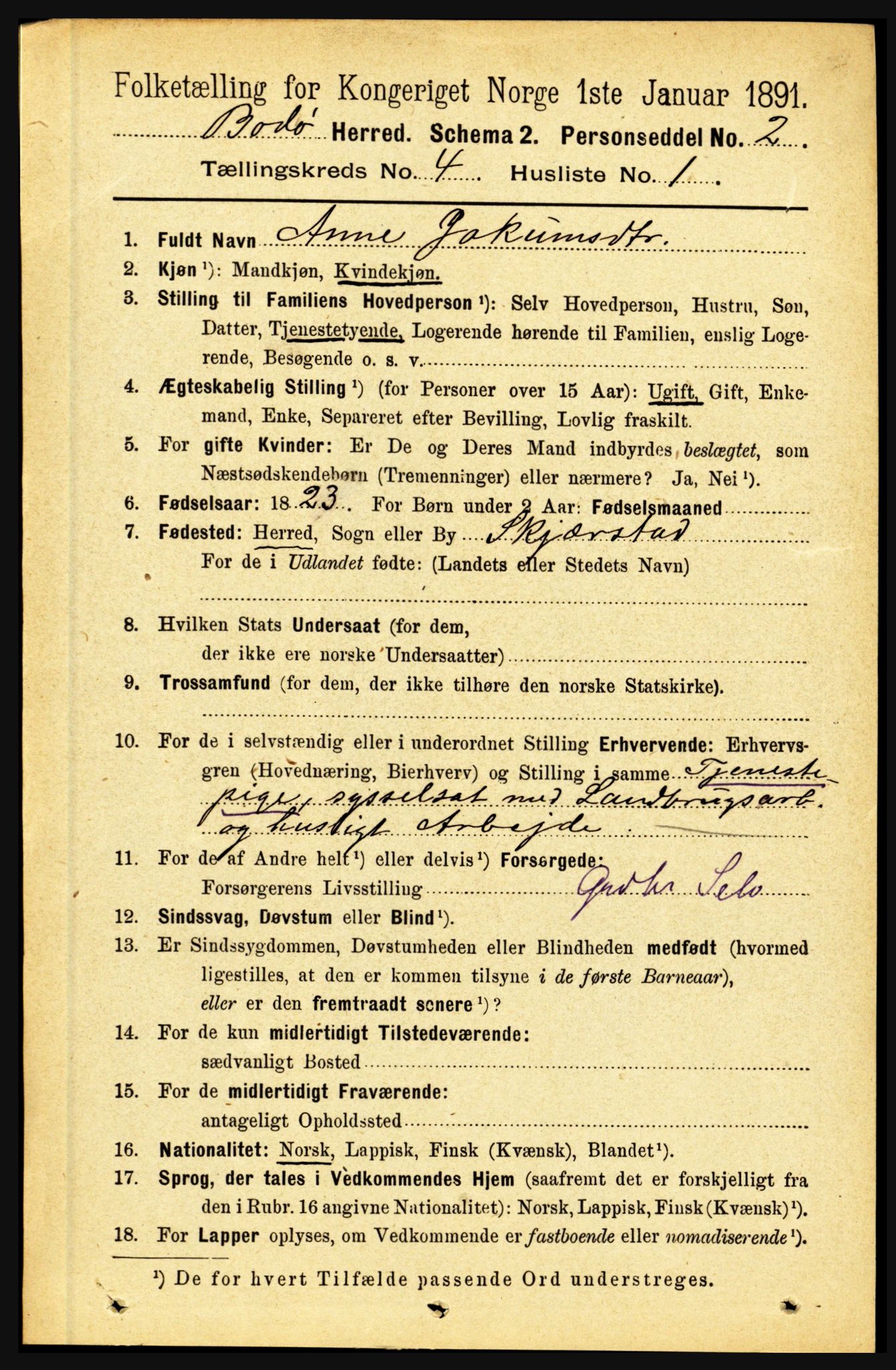 RA, 1891 census for 1843 Bodø, 1891, p. 2251