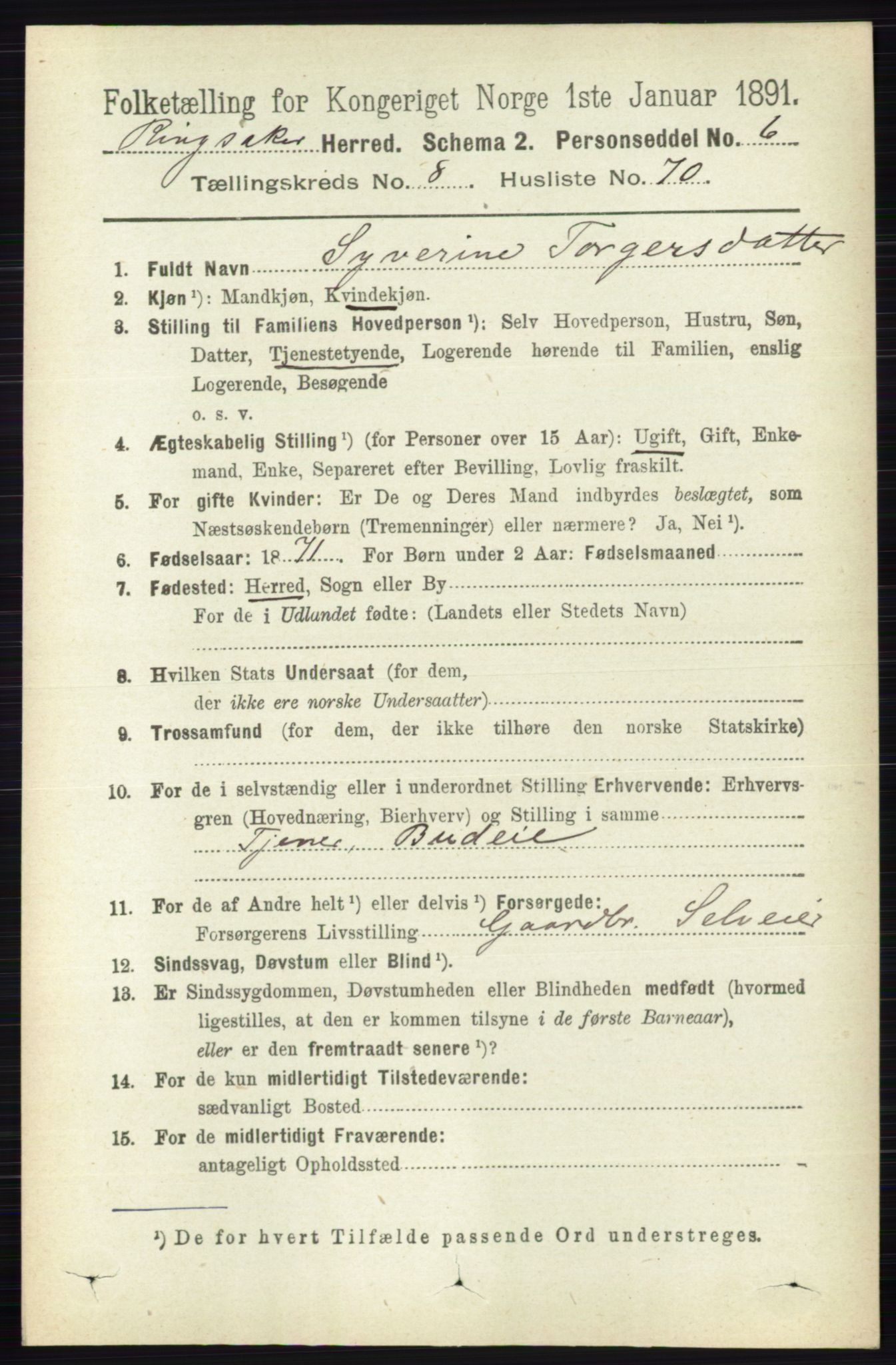 RA, 1891 census for 0412 Ringsaker, 1891, p. 4873