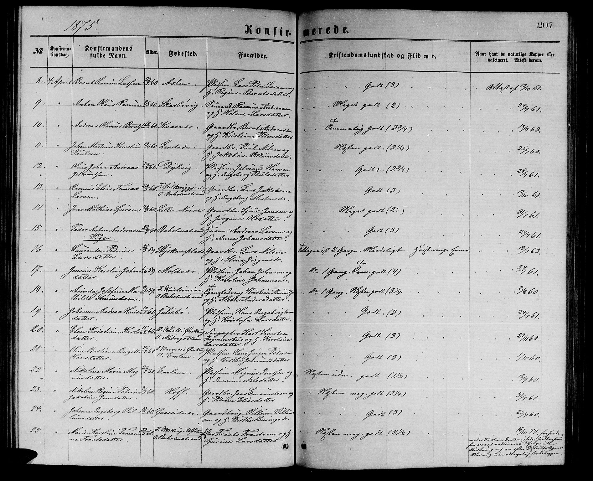 Ministerialprotokoller, klokkerbøker og fødselsregistre - Møre og Romsdal, AV/SAT-A-1454/528/L0429: Parish register (copy) no. 528C10, 1872-1886, p. 207