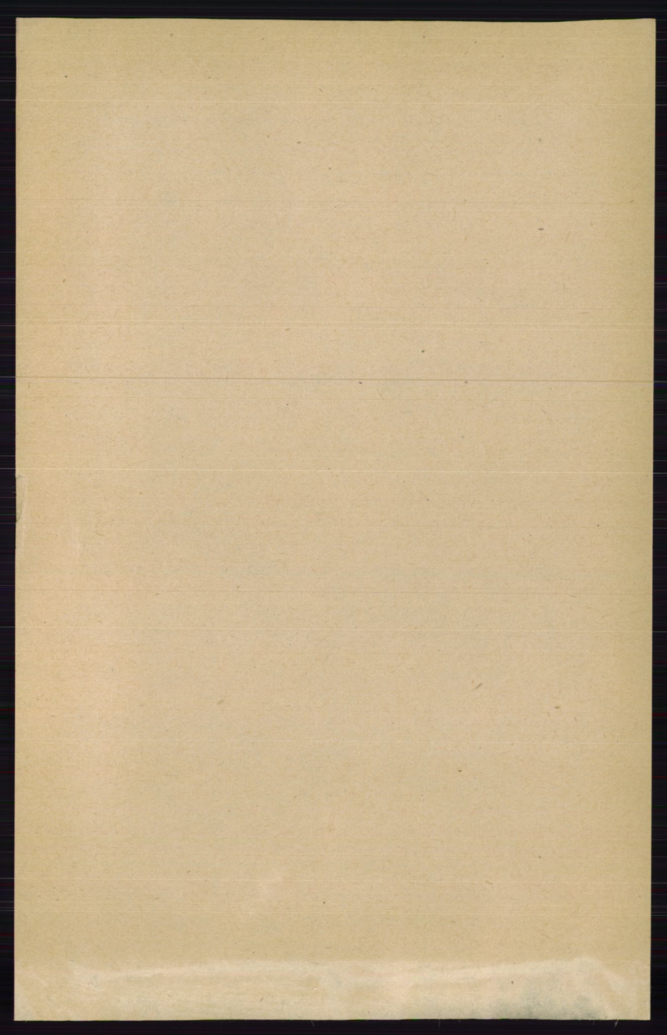 RA, 1891 census for 0111 Hvaler, 1891, p. 1003