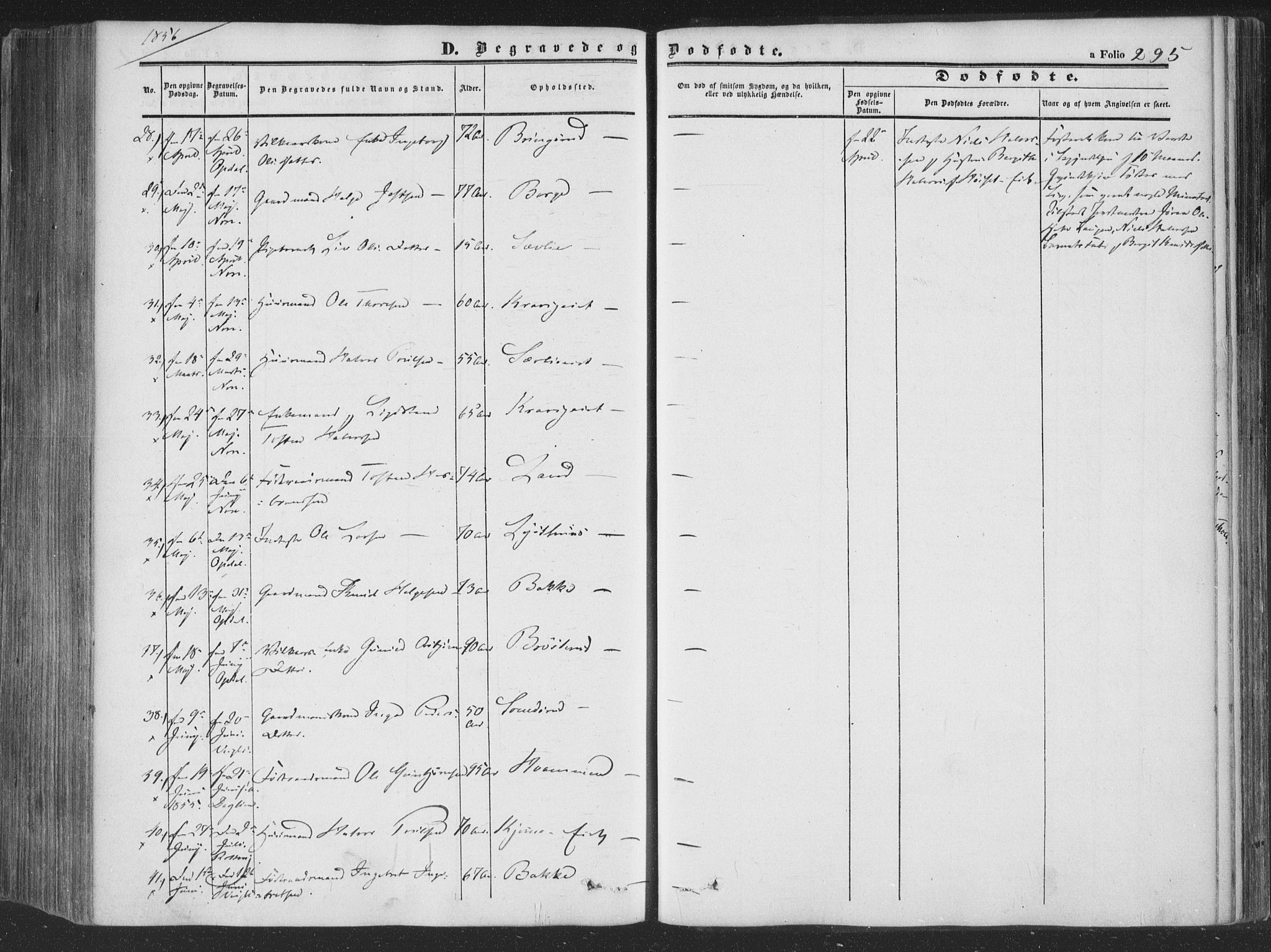 Rollag kirkebøker, AV/SAKO-A-240/F/Fa/L0008: Parish register (official) no. I 8, 1847-1860, p. 295