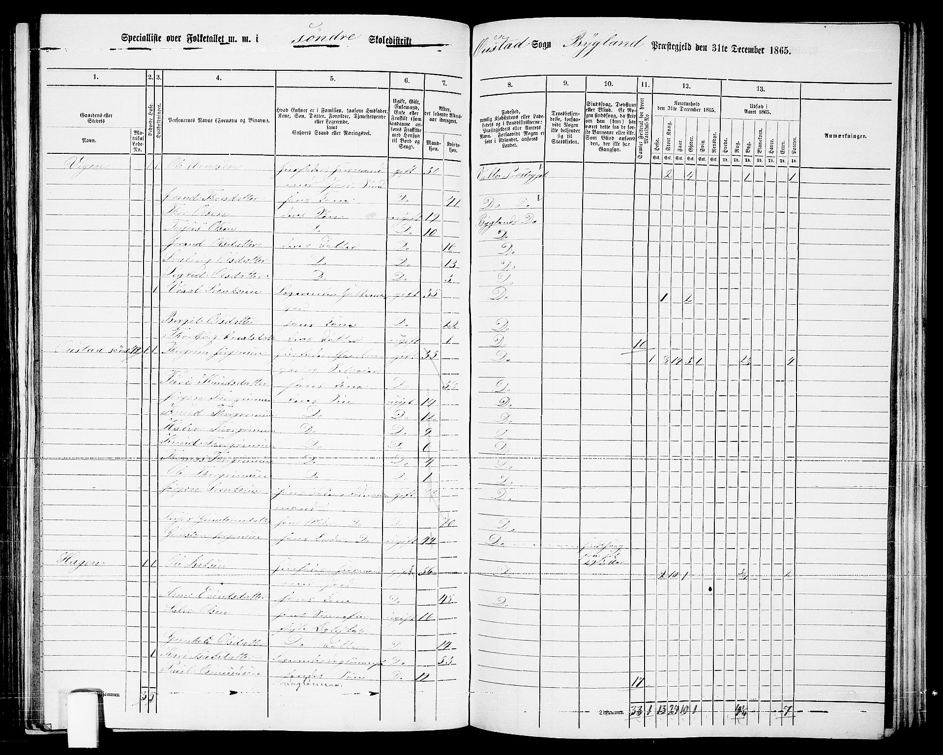 RA, 1865 census for Bygland, 1865, p. 28