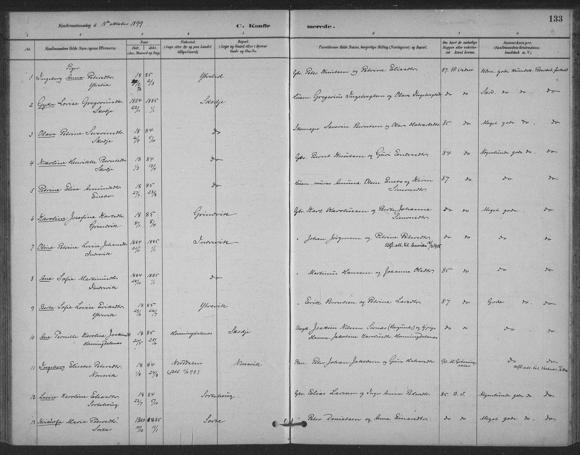 Ministerialprotokoller, klokkerbøker og fødselsregistre - Møre og Romsdal, AV/SAT-A-1454/524/L0356: Parish register (official) no. 524A08, 1880-1899, p. 133