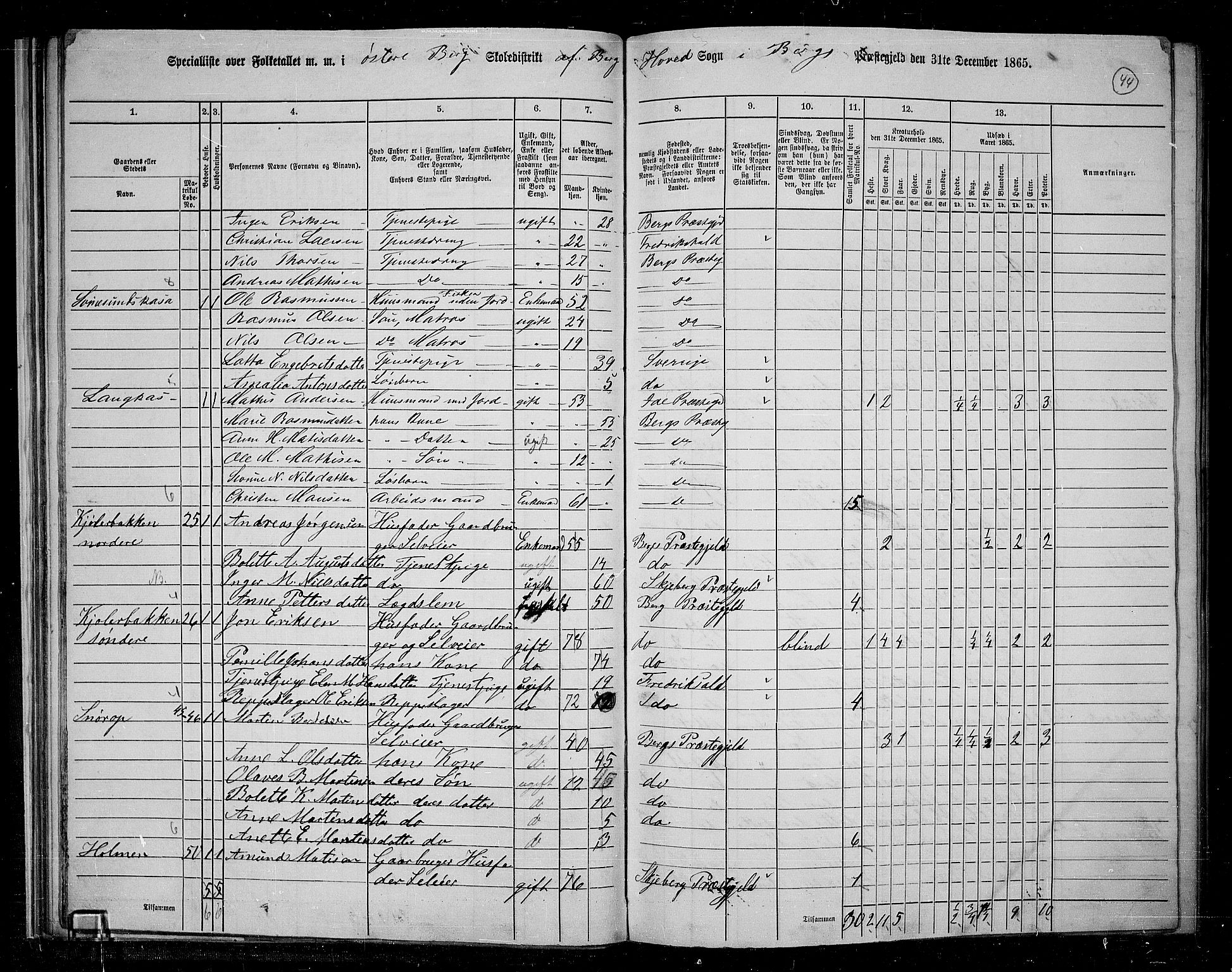 RA, 1865 census for Berg, 1865, p. 41