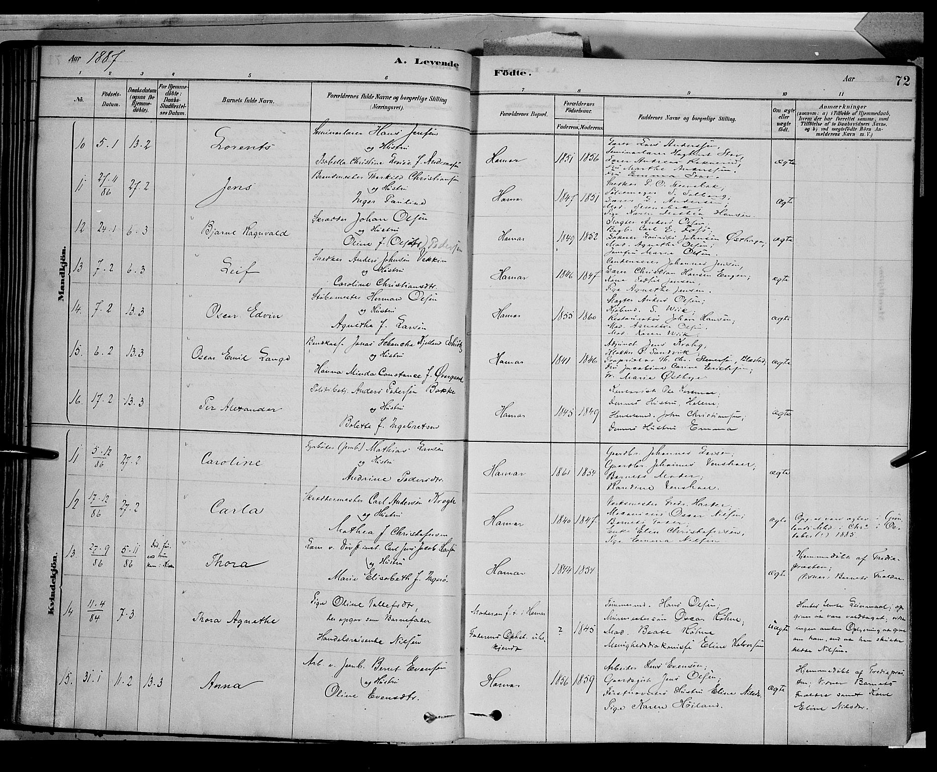 Vang prestekontor, Hedmark, AV/SAH-PREST-008/H/Ha/Haa/L0016: Parish register (official) no. 16, 1878-1889, p. 72