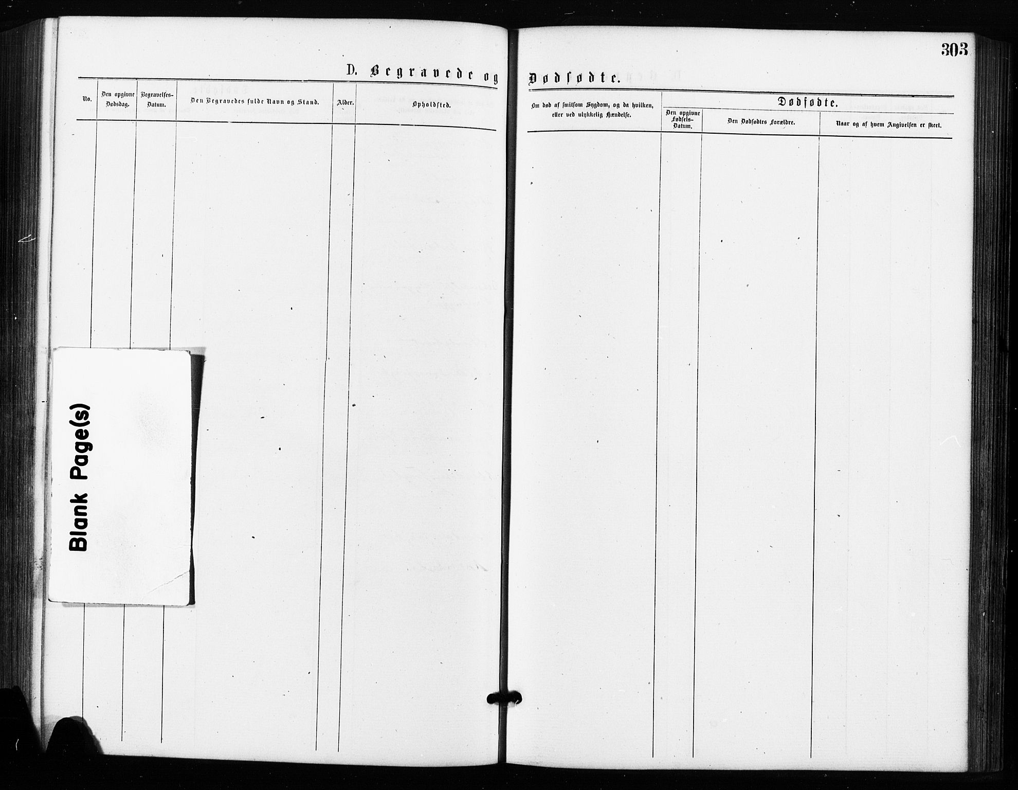 Rygge prestekontor Kirkebøker, SAO/A-10084b/F/Fa/L0006: Parish register (official) no. 6, 1872-1877, p. 303
