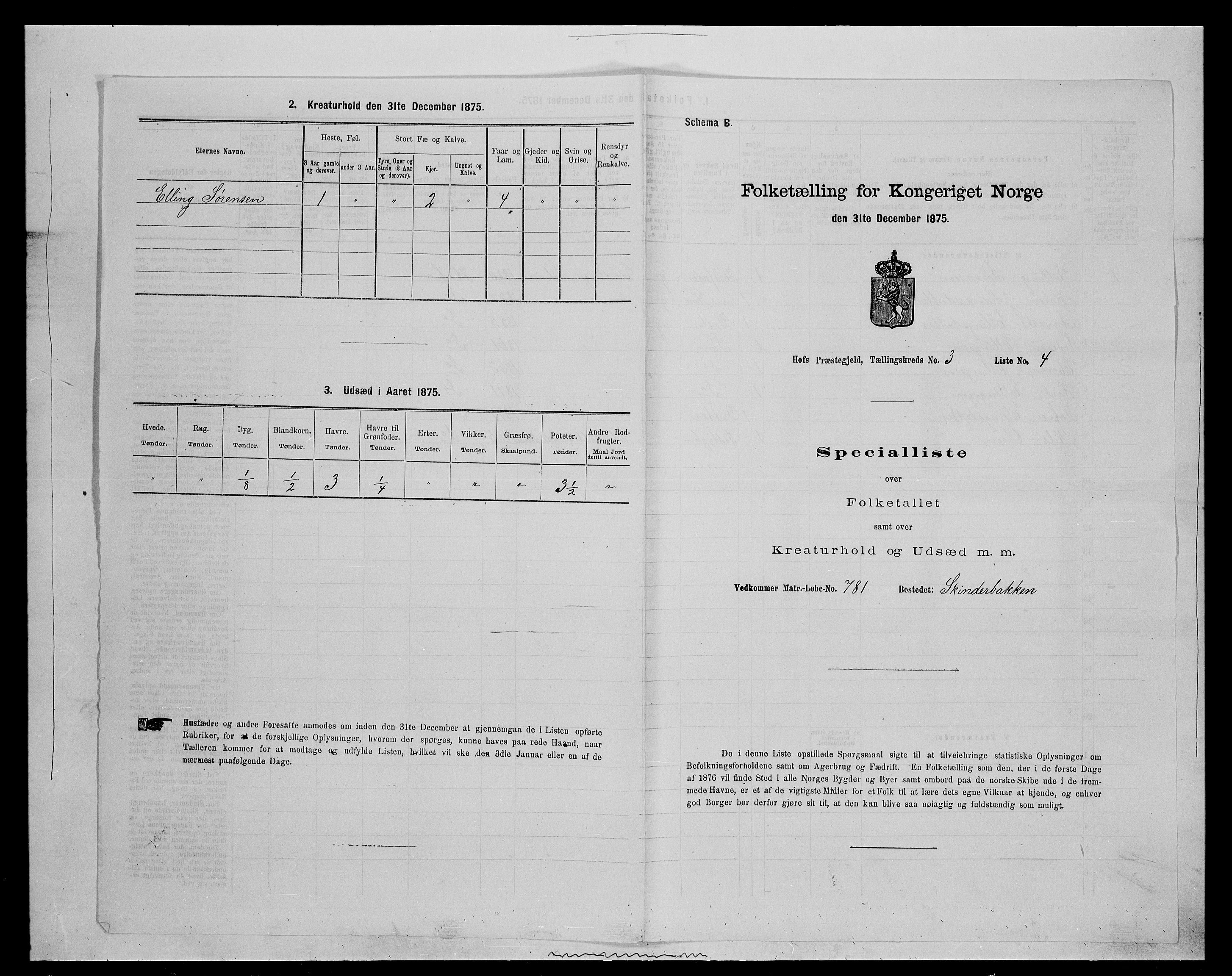 SAH, 1875 census for 0424P Hof, 1875, p. 489