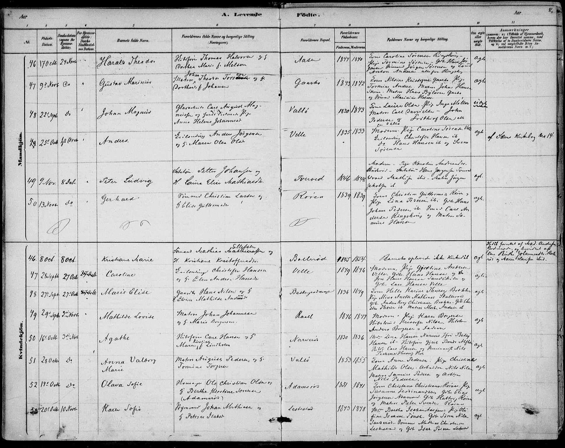 Sem kirkebøker, AV/SAKO-A-5/F/Fb/L0004: Parish register (official) no. II 4, 1878-1891, p. 8