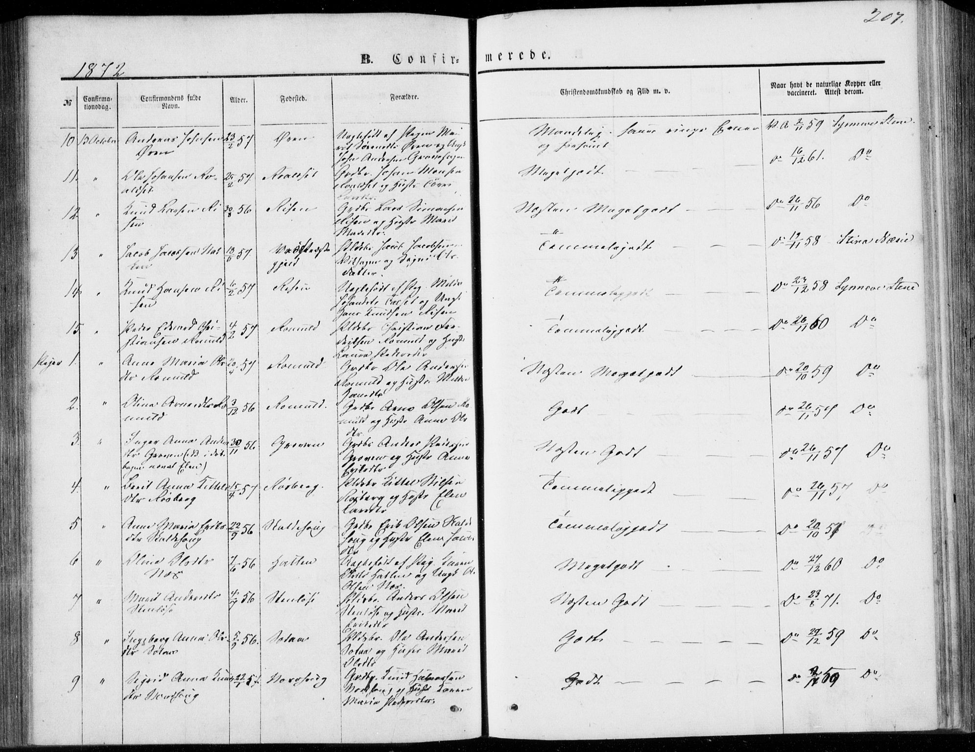 Ministerialprotokoller, klokkerbøker og fødselsregistre - Møre og Romsdal, SAT/A-1454/557/L0681: Parish register (official) no. 557A03, 1869-1886, p. 207