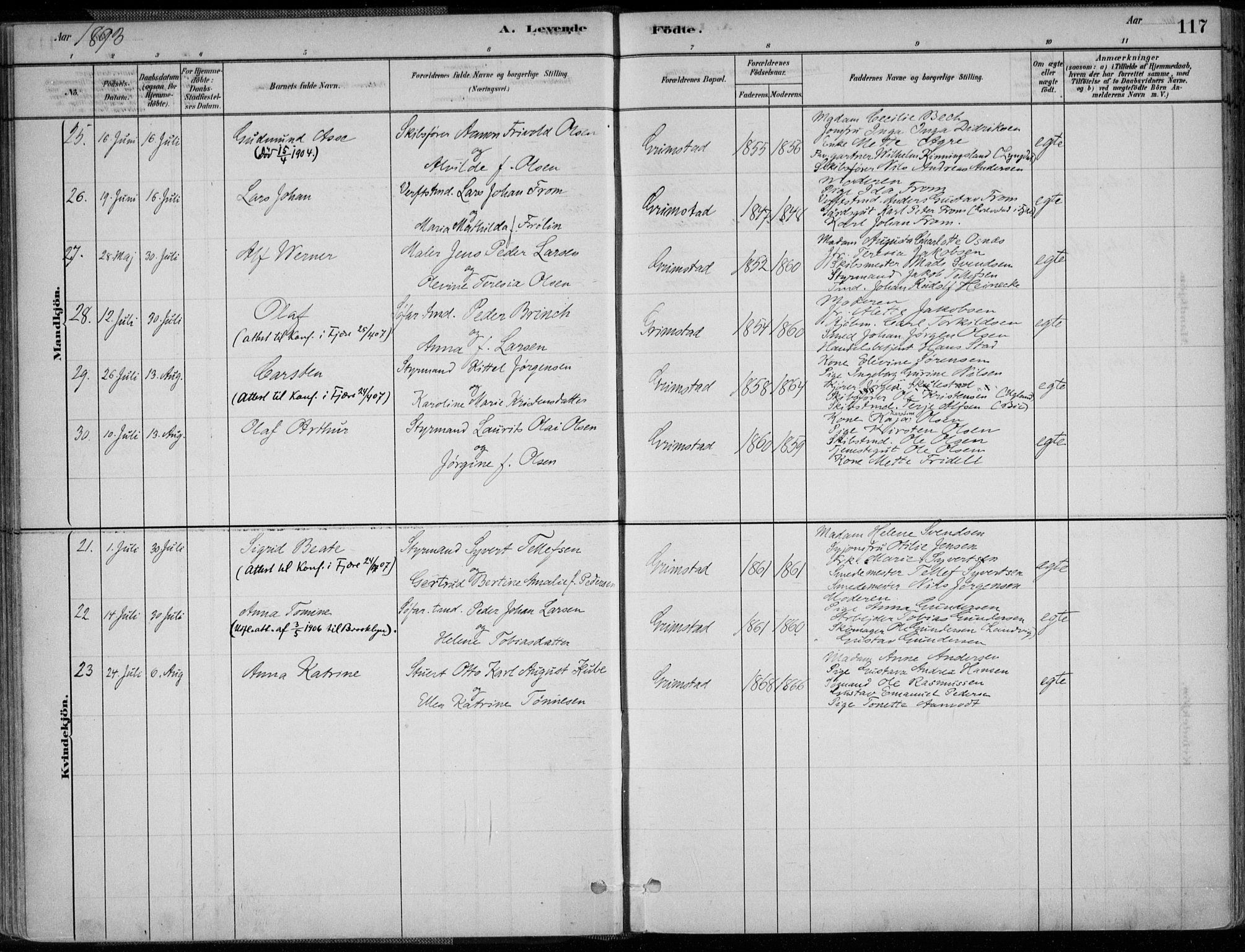 Grimstad sokneprestkontor, AV/SAK-1111-0017/F/Fa/L0003: Parish register (official) no. A 2, 1882-1912, p. 117