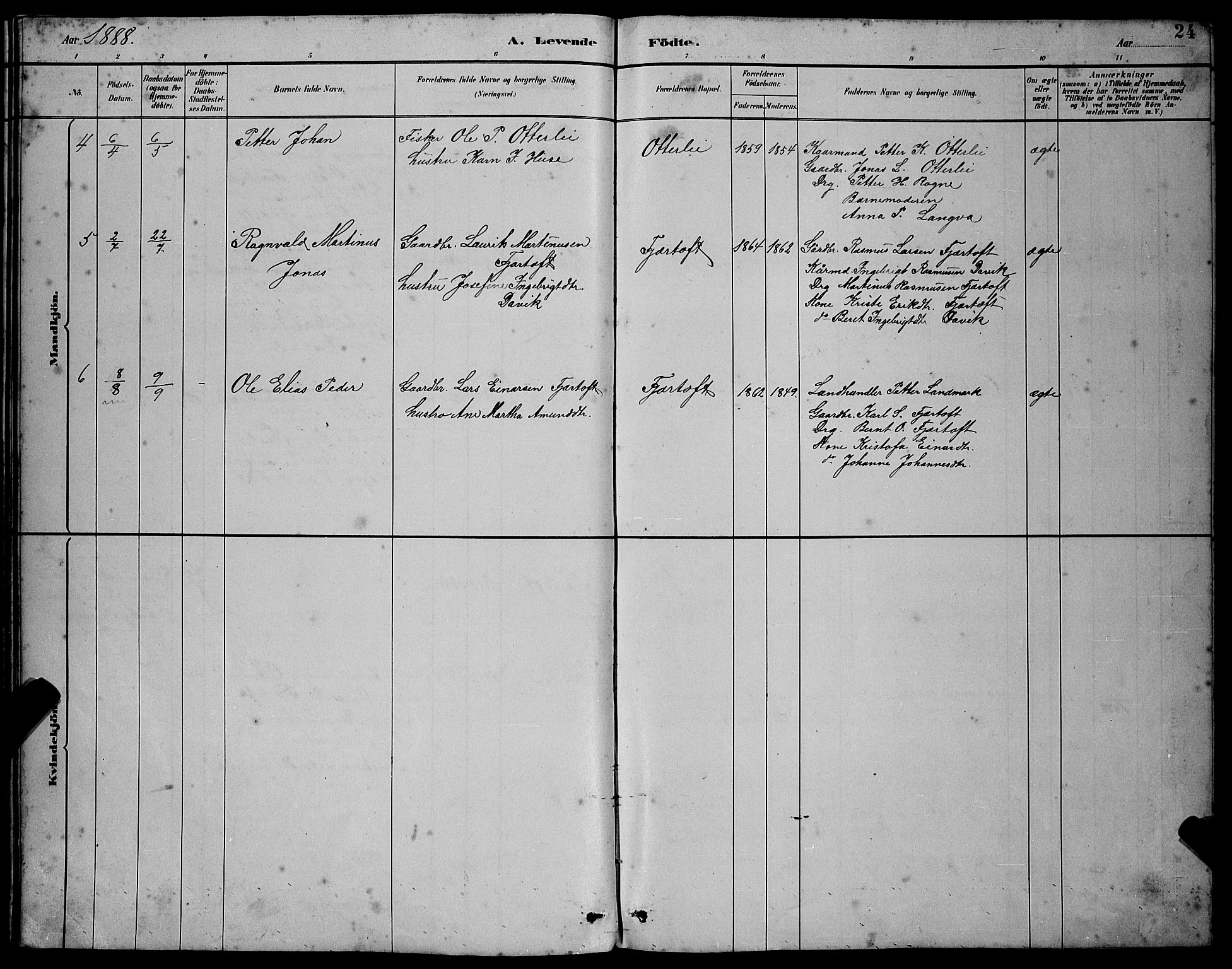 Ministerialprotokoller, klokkerbøker og fødselsregistre - Møre og Romsdal, AV/SAT-A-1454/538/L0523: Parish register (copy) no. 538C01, 1881-1900, p. 24