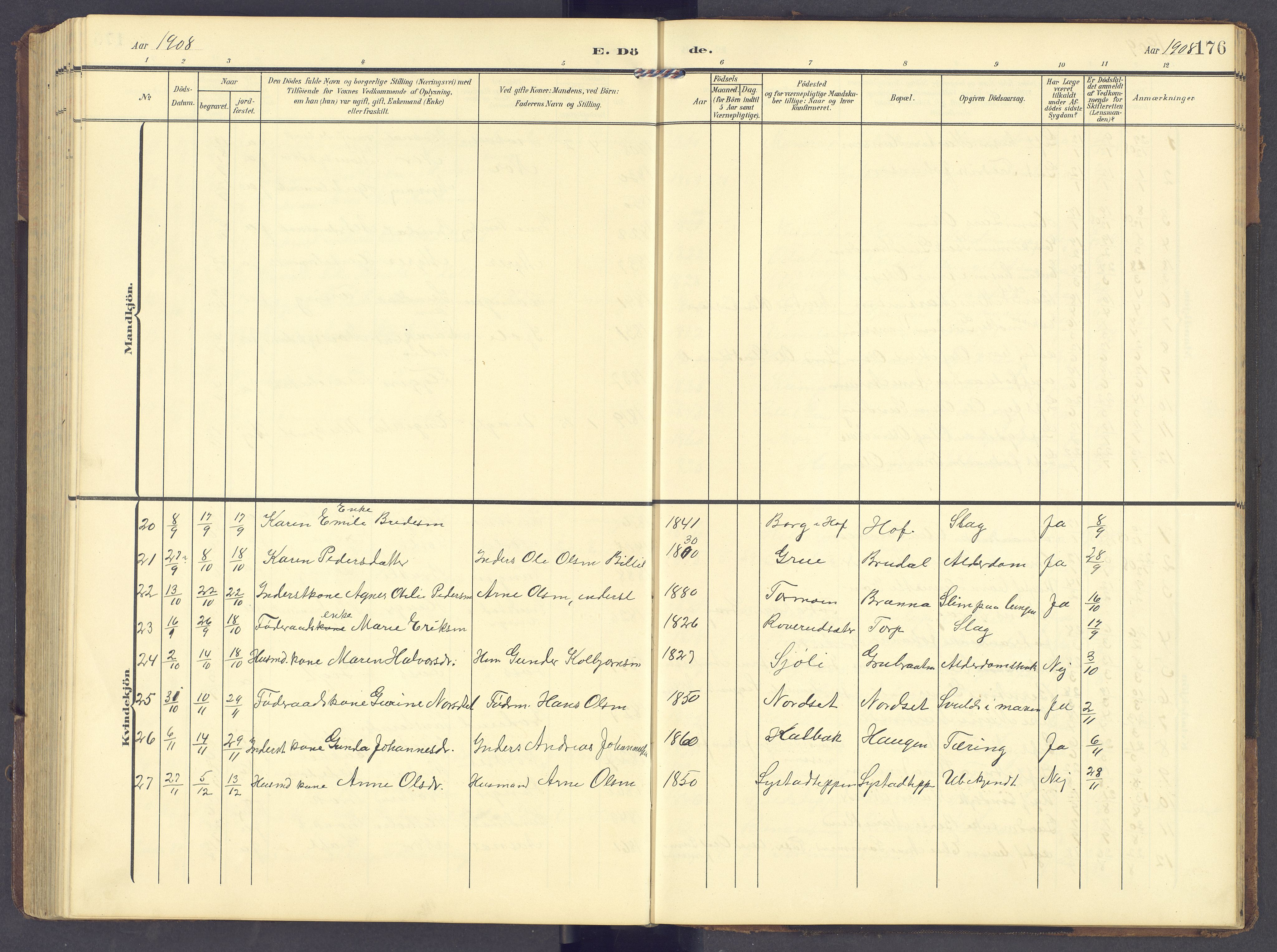 Brandval prestekontor, AV/SAH-PREST-034/H/Ha/Hab/L0003: Parish register (copy) no. 3, 1904-1917, p. 176