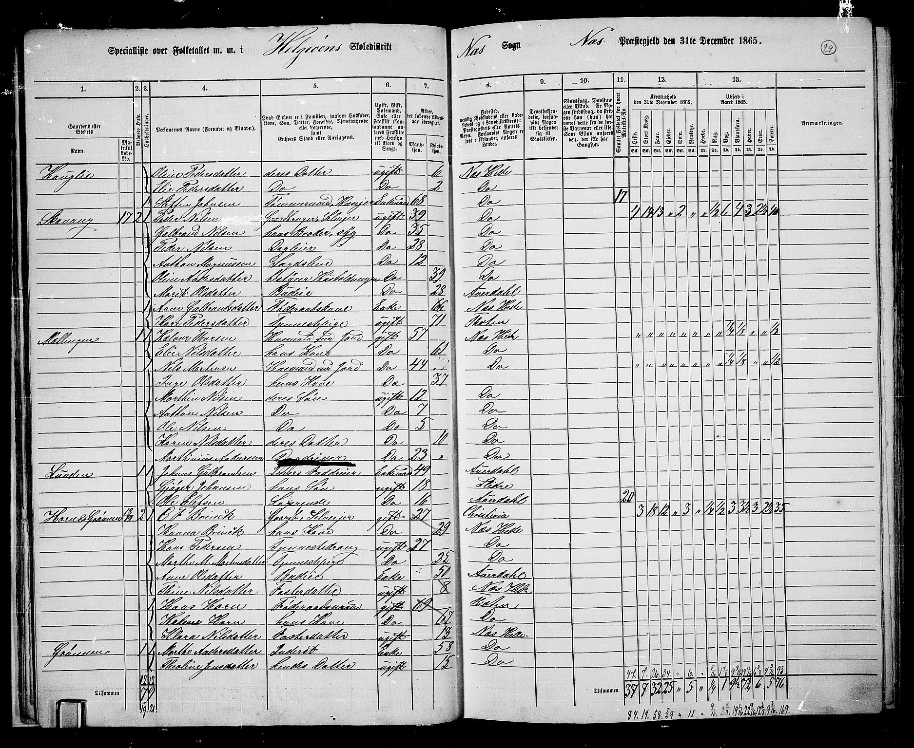 RA, 1865 census for Nes, 1865, p. 27