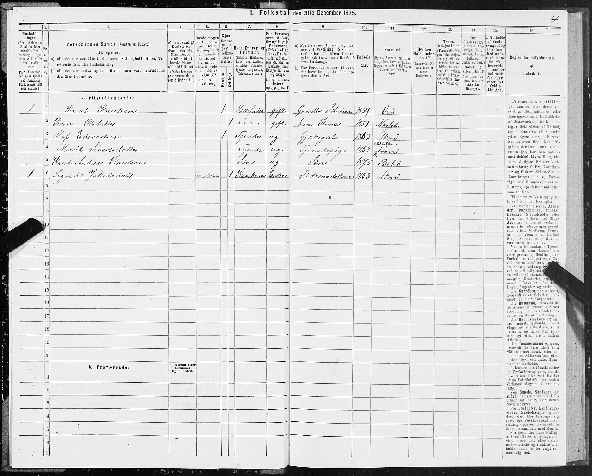 SAT, 1875 census for 1544P Bolsøy, 1875, p. 1004