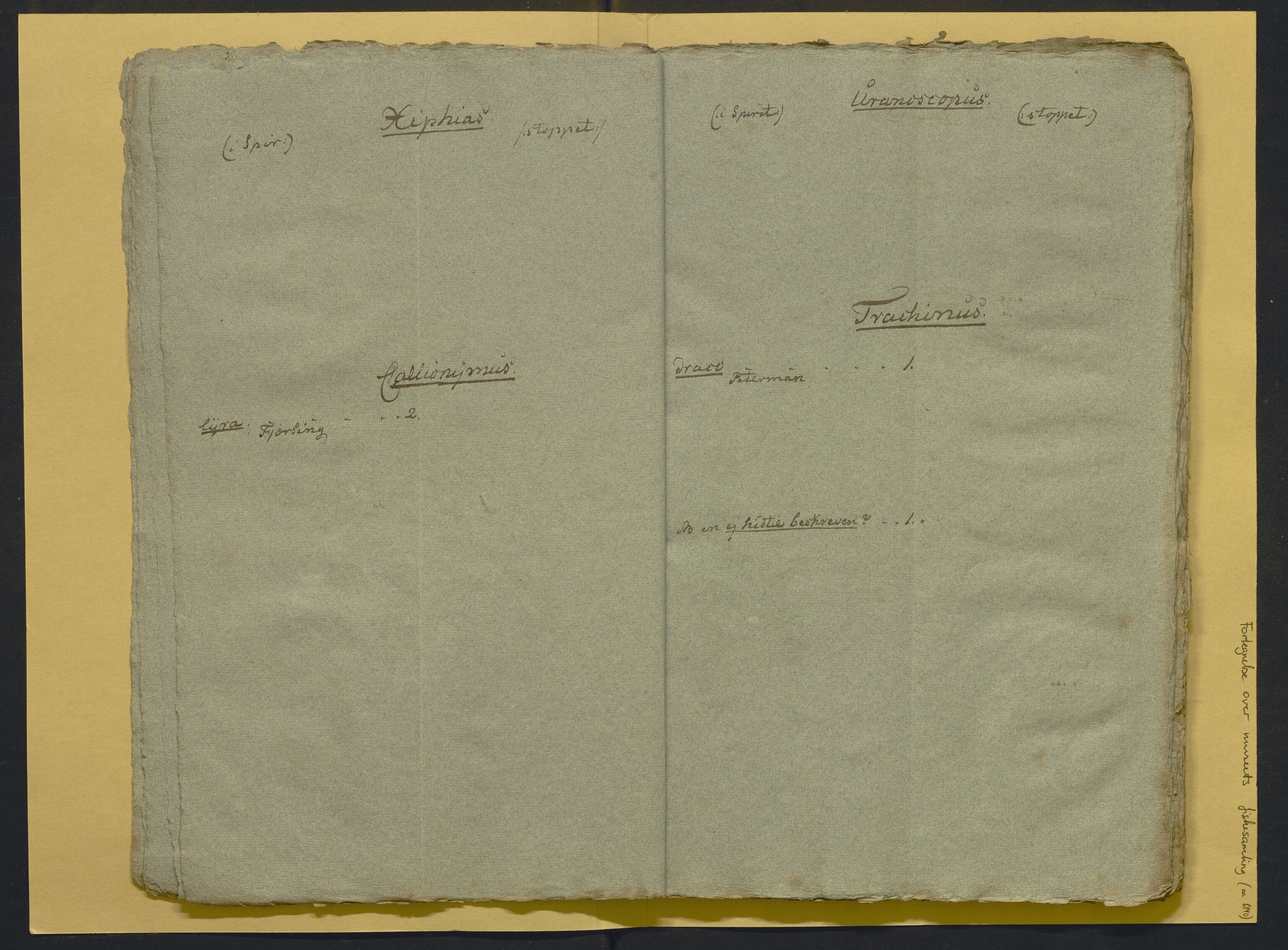 Bergens Museum, AV/SAB-A-17301/02/F/L0001: Kataloger over gjenstander og pergamentbrev , 1825-1880, p. 497