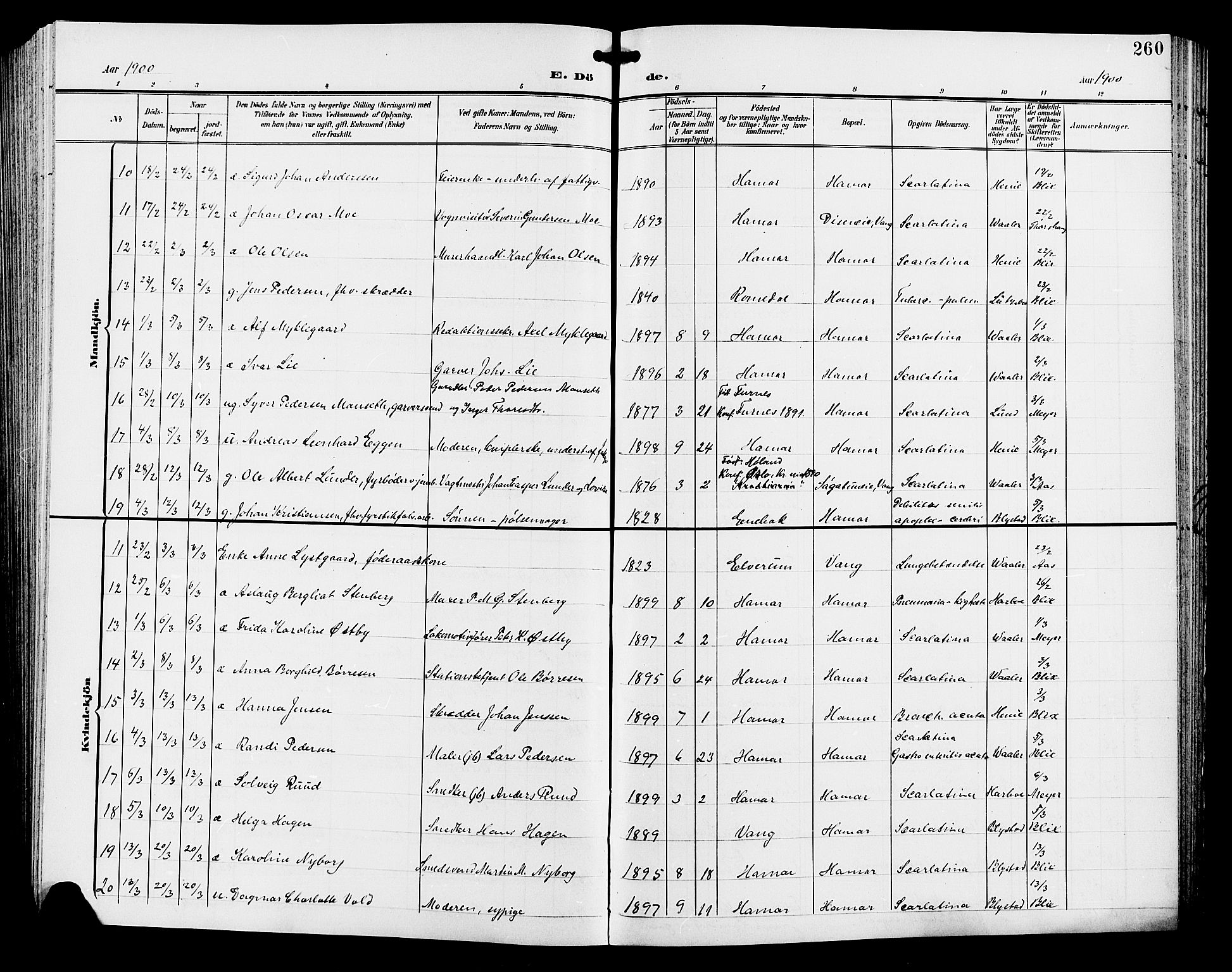 Hamar prestekontor, AV/SAH-DOMPH-002/H/Ha/Hab/L0001: Parish register (copy) no. 1, 1899-1914, p. 260