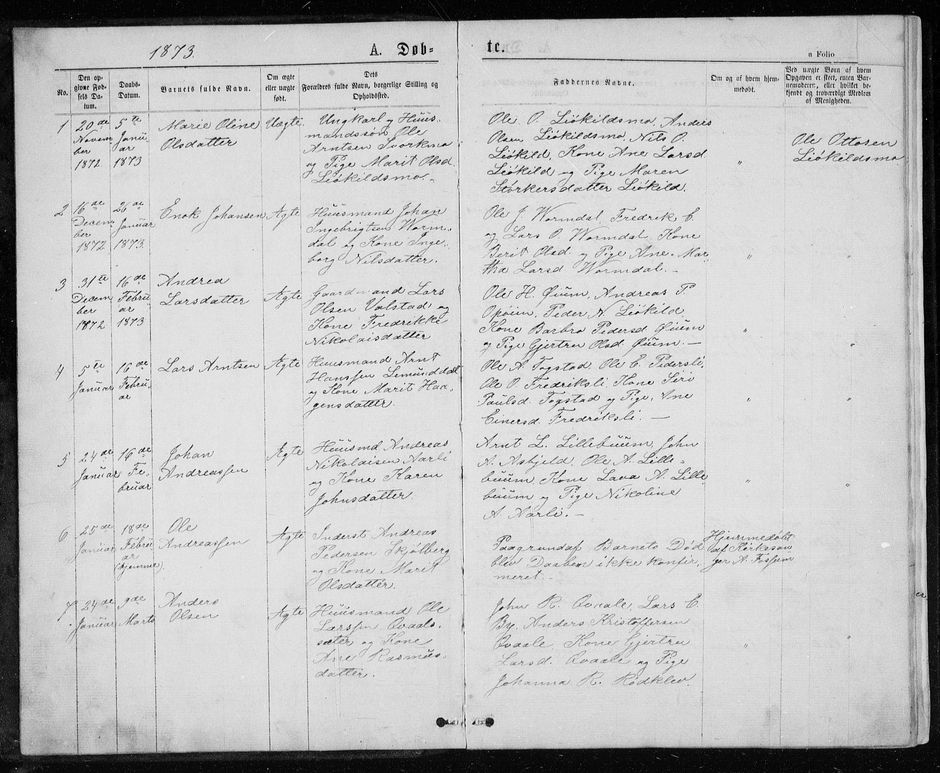 Ministerialprotokoller, klokkerbøker og fødselsregistre - Sør-Trøndelag, SAT/A-1456/671/L0843: Parish register (copy) no. 671C02, 1873-1892, p. 1