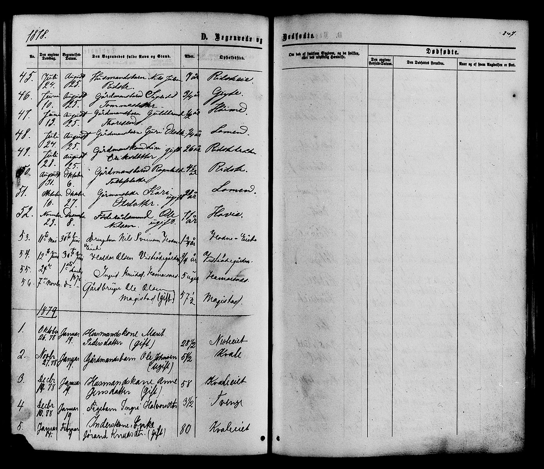 Vestre Slidre prestekontor, SAH/PREST-136/H/Ha/Haa/L0003: Parish register (official) no. 3, 1865-1880, p. 247