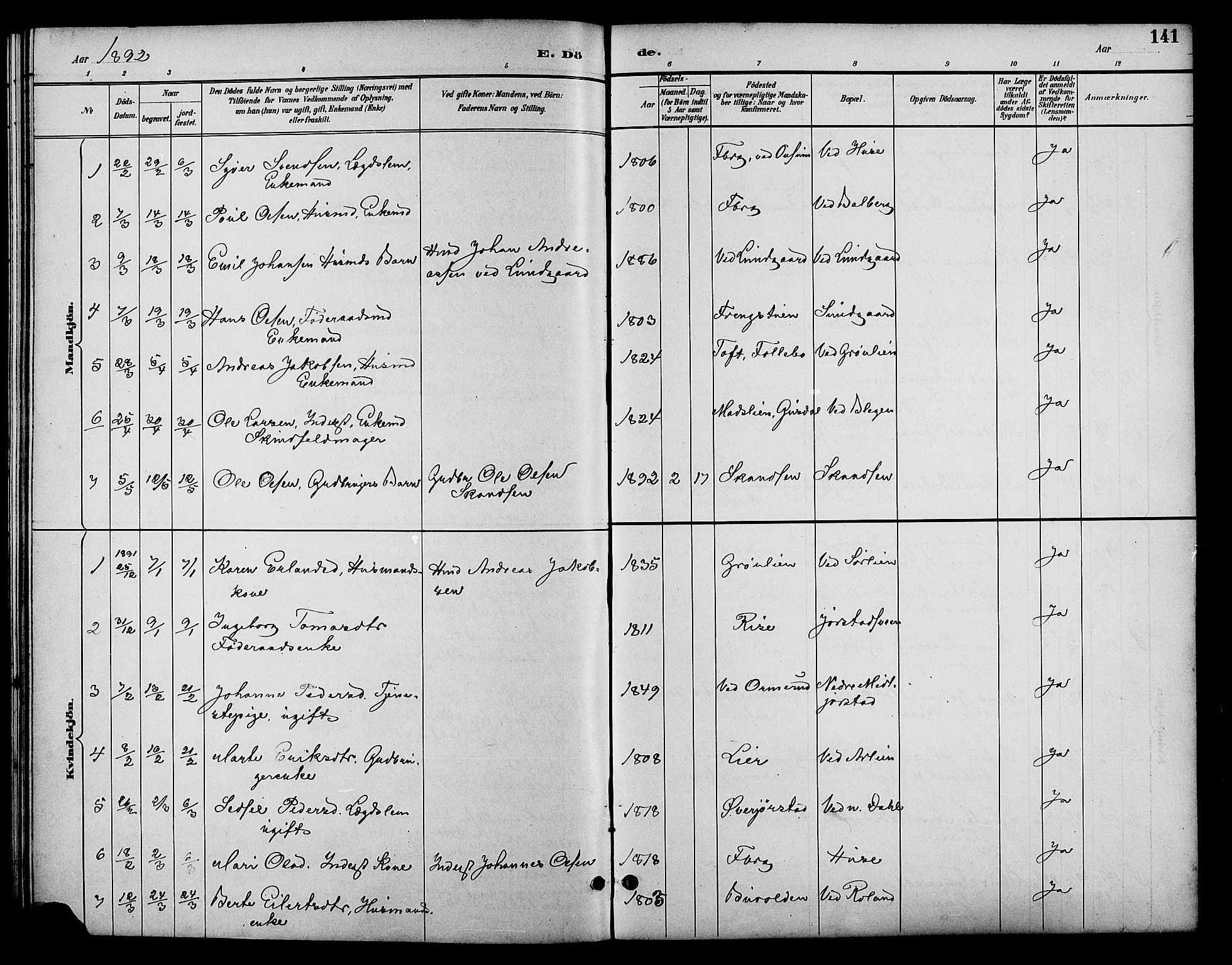 Fåberg prestekontor, SAH/PREST-086/H/Ha/Hab/L0010: Parish register (copy) no. 10, 1892-1900, p. 141