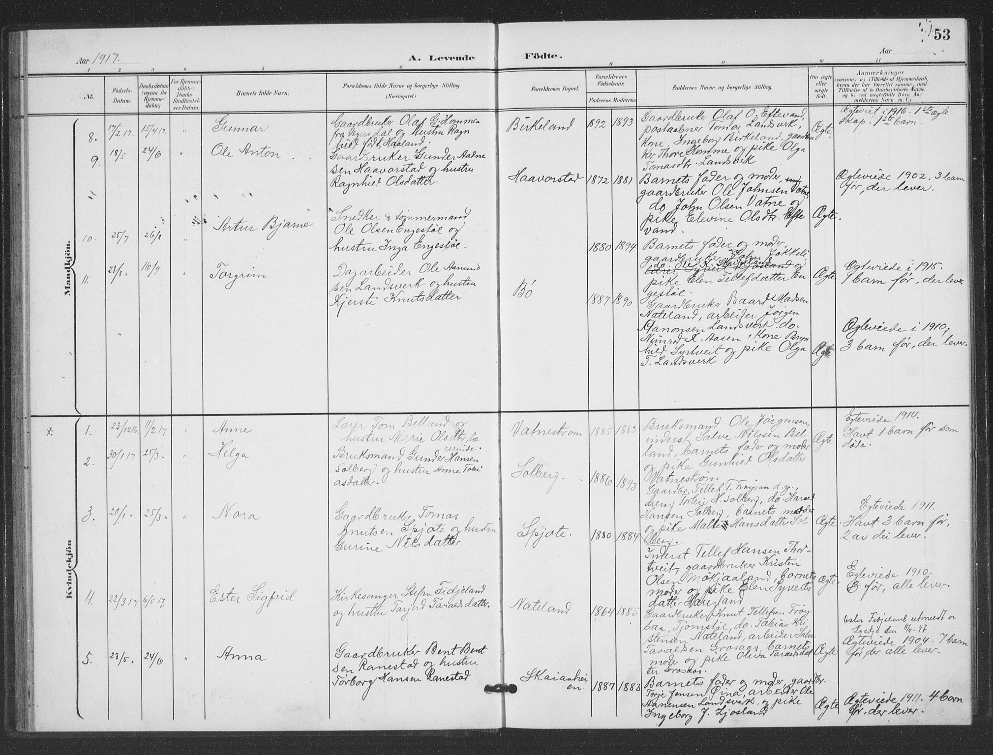 Evje sokneprestkontor, AV/SAK-1111-0008/F/Fb/Fbc/L0005: Parish register (copy) no. B 5, 1901-1935, p. 53