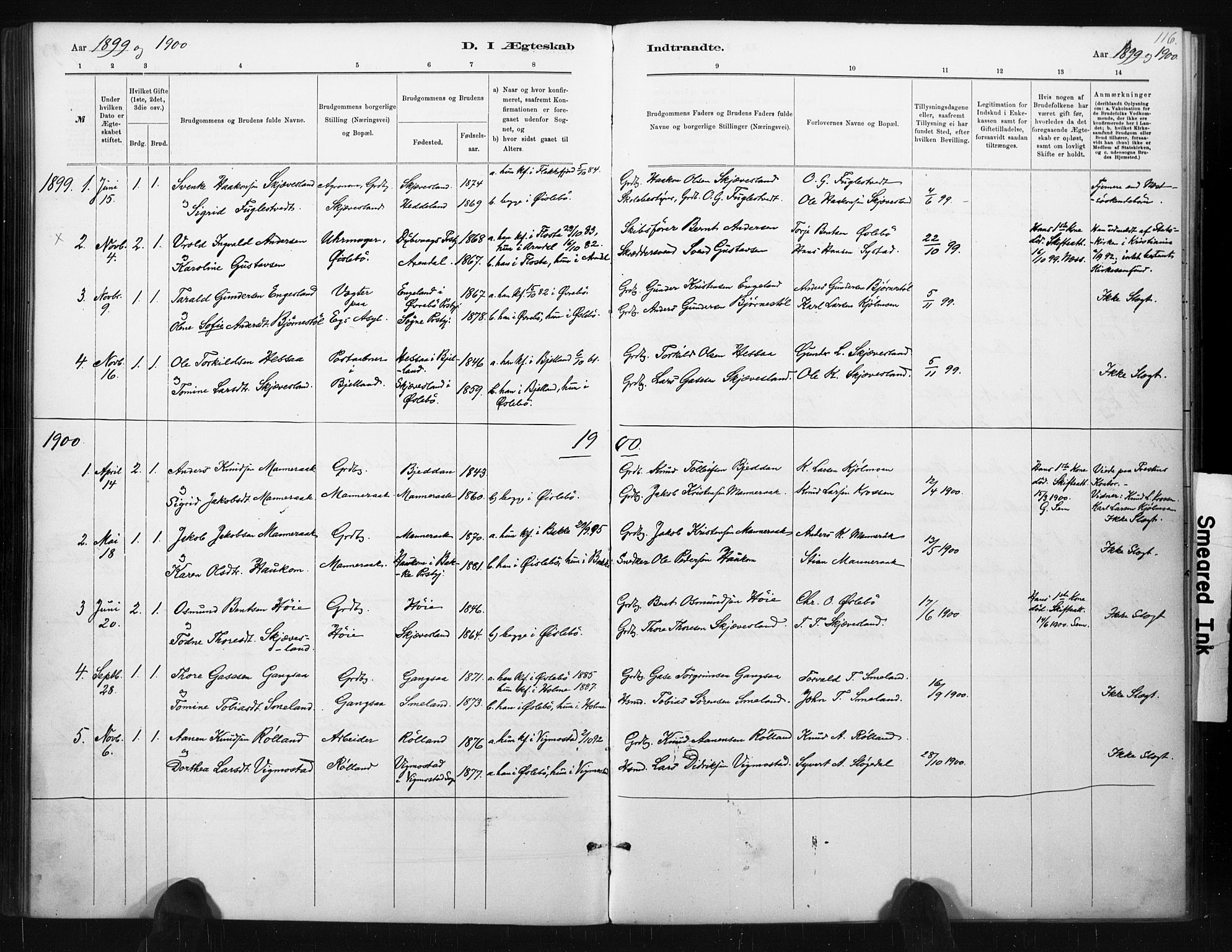 Holum sokneprestkontor, AV/SAK-1111-0022/F/Fa/Fac/L0004: Parish register (official) no. A 4, 1884-1907, p. 116