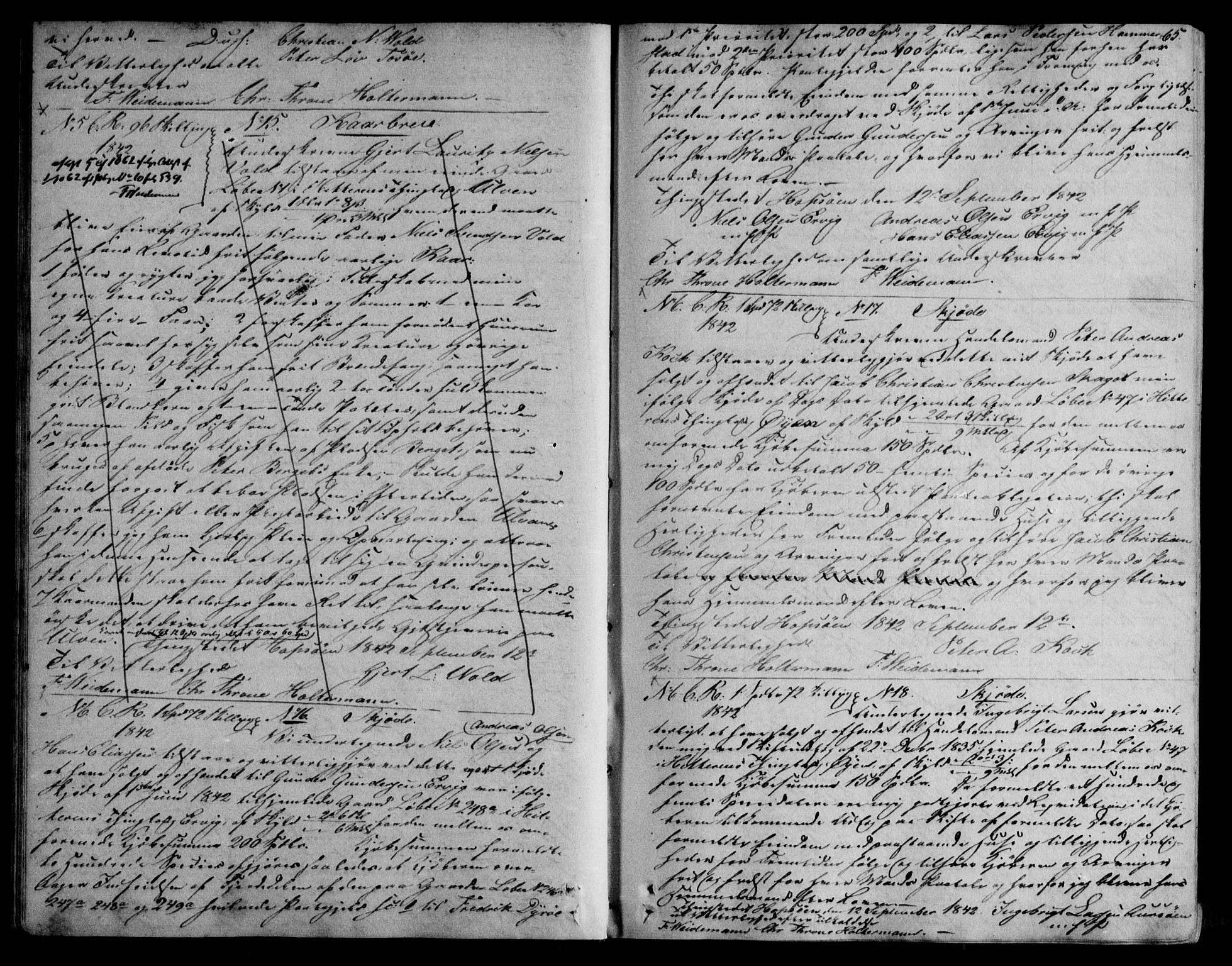 Fosen sorenskriveri, AV/SAT-A-1107/1/2/2C/L0010: Mortgage book no. 7, 1842-1847, p. 65
