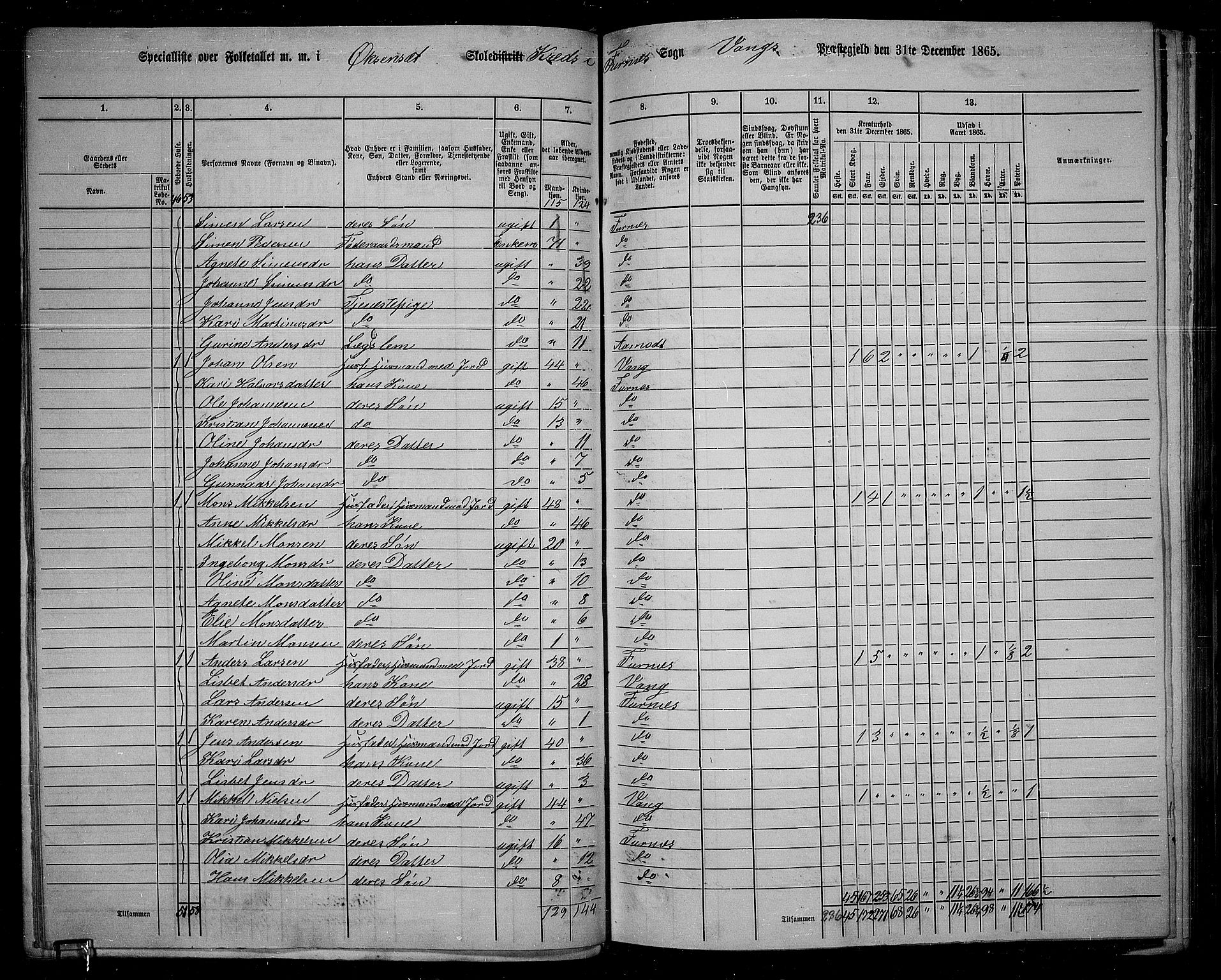 RA, 1865 census for Vang/Vang og Furnes, 1865, p. 55