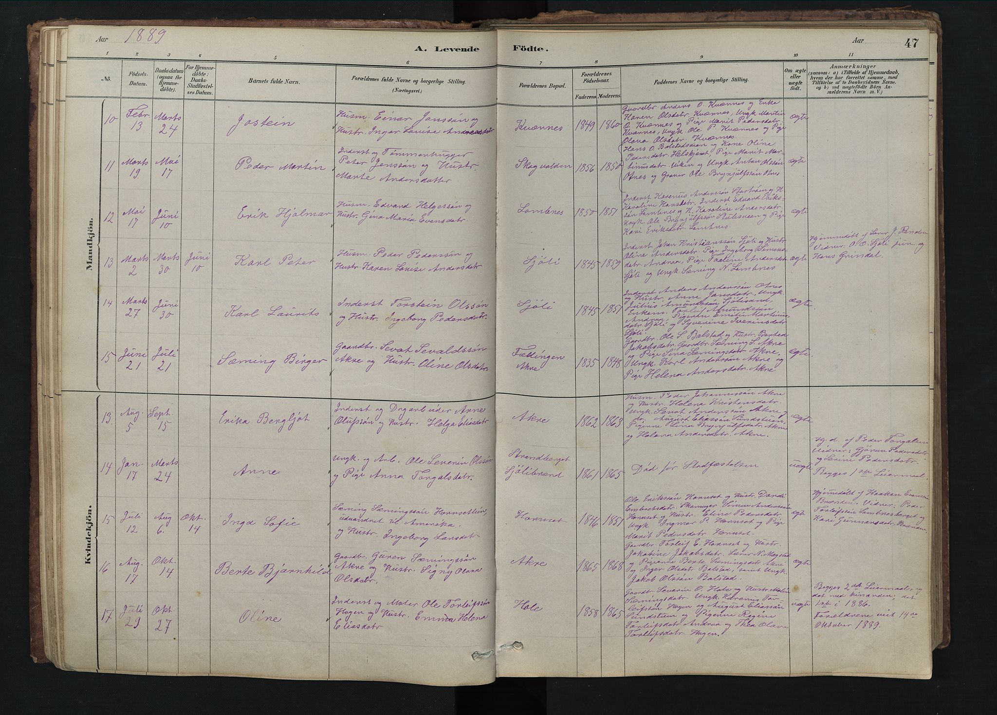 Rendalen prestekontor, SAH/PREST-054/H/Ha/Hab/L0009: Parish register (copy) no. 9, 1879-1902, p. 47