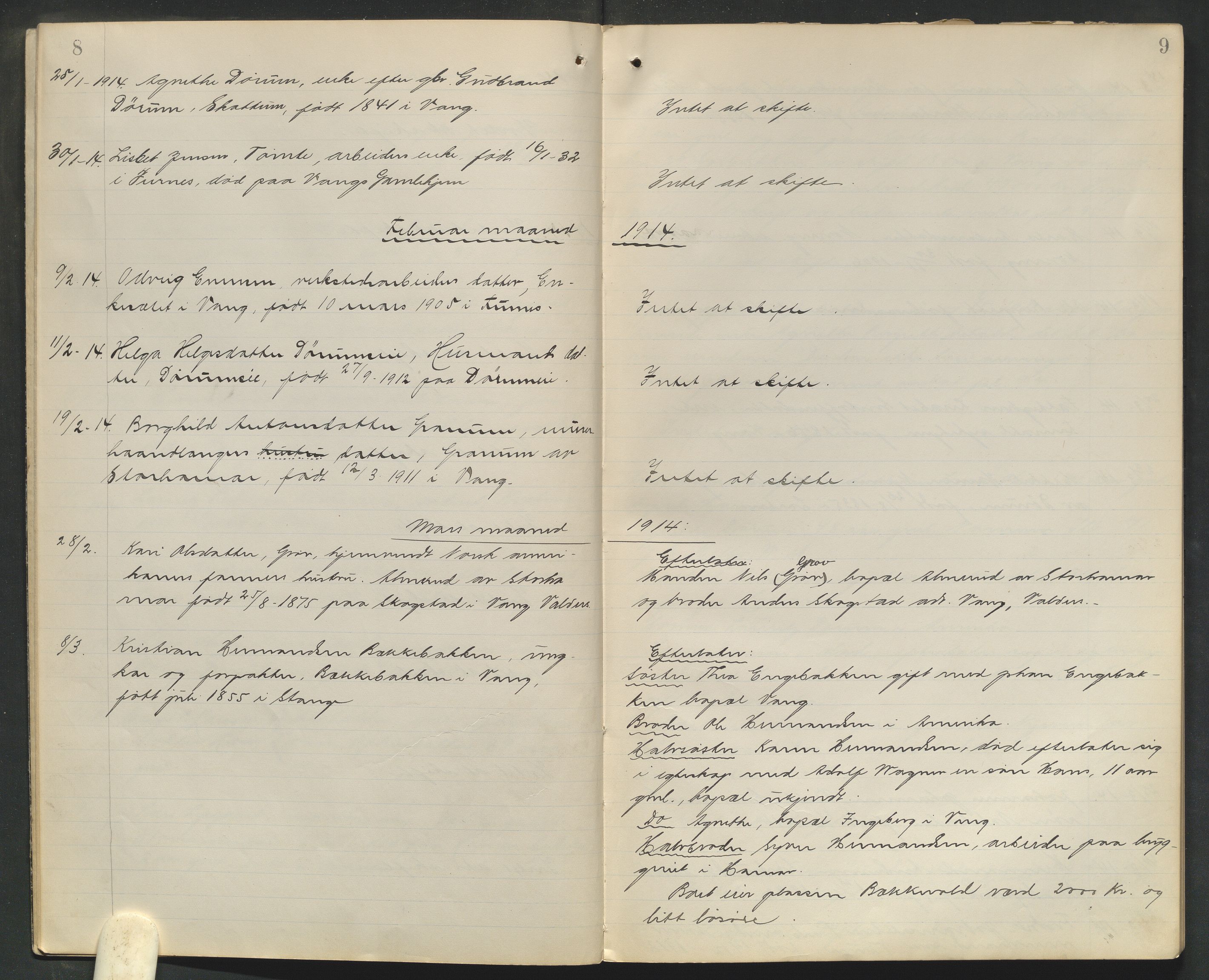 Nord-Hedmark sorenskriveri, AV/SAH-TING-012/J/Ji/L0010: Dødsfallsprotokoll - Vang, 1913-1916, p. 8-9