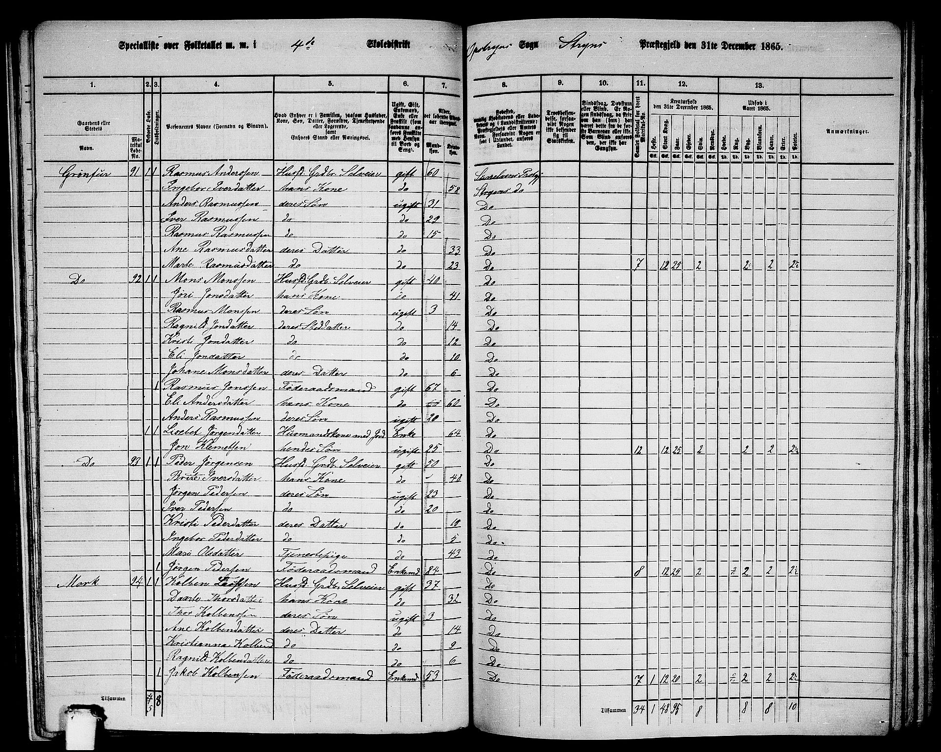 RA, 1865 census for Stryn, 1865, p. 25