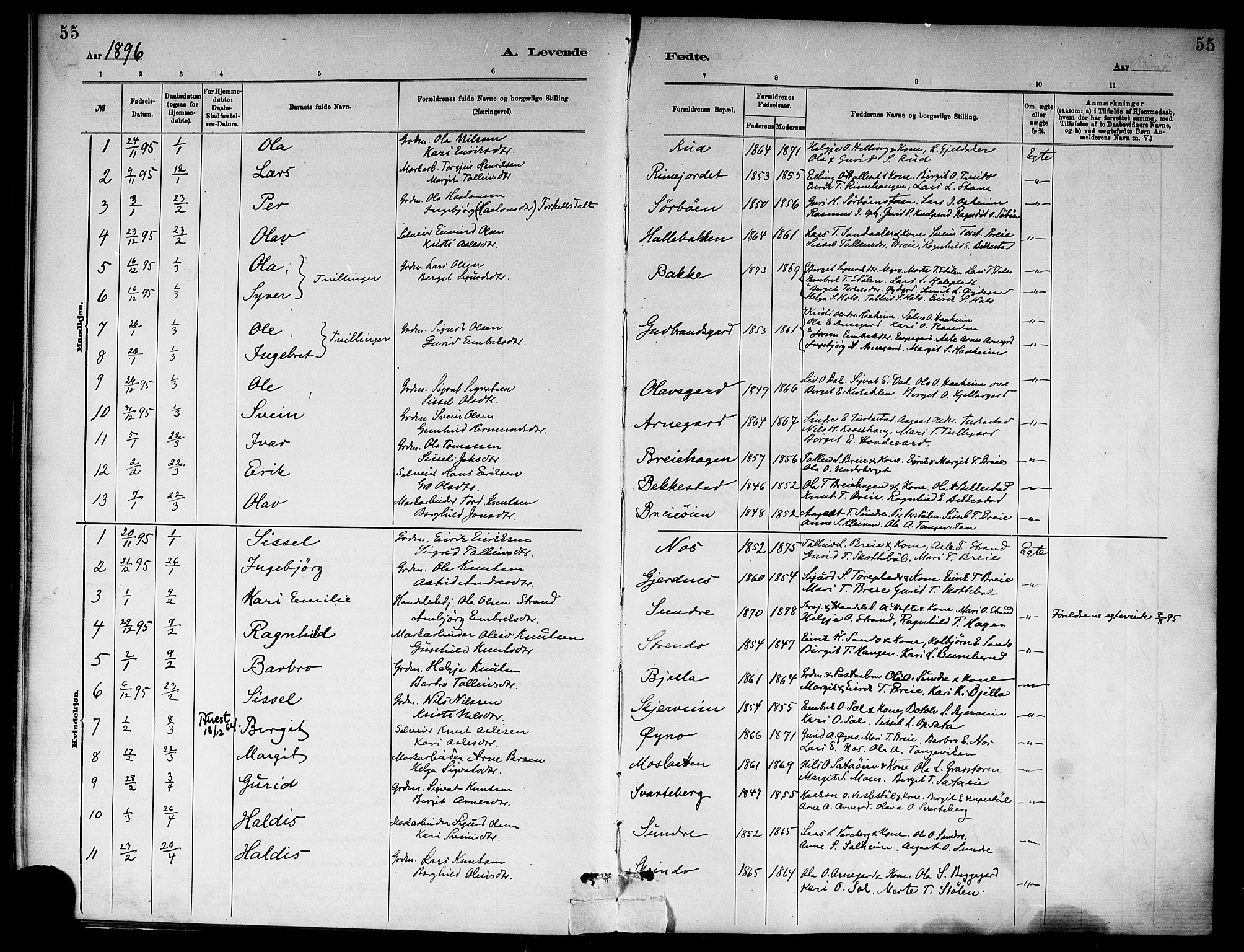 Ål kirkebøker, SAKO/A-249/F/Fa/L0008: Parish register (official) no. I 8, 1882-1896, p. 55