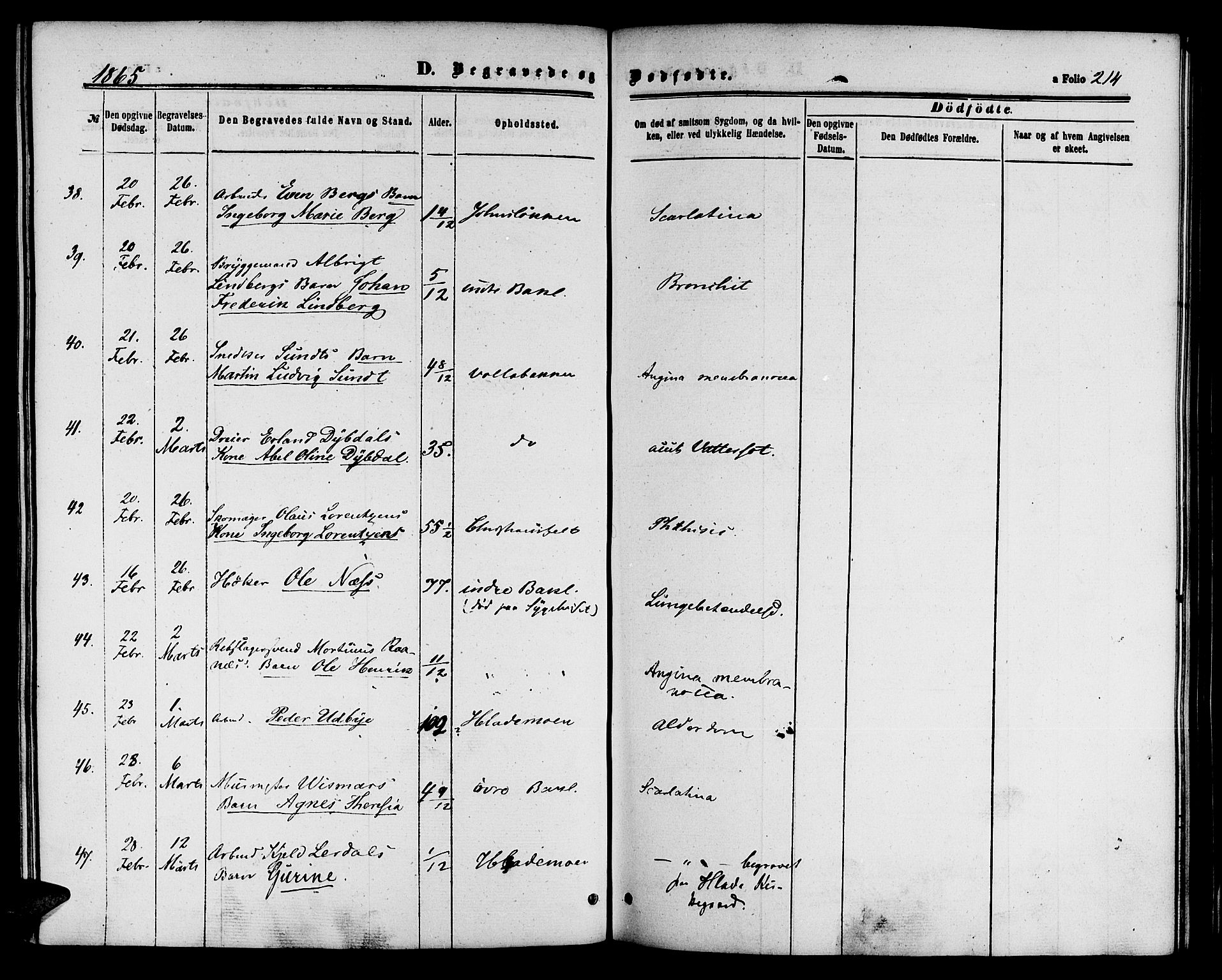 Ministerialprotokoller, klokkerbøker og fødselsregistre - Sør-Trøndelag, AV/SAT-A-1456/604/L0185: Parish register (official) no. 604A06, 1861-1865, p. 214