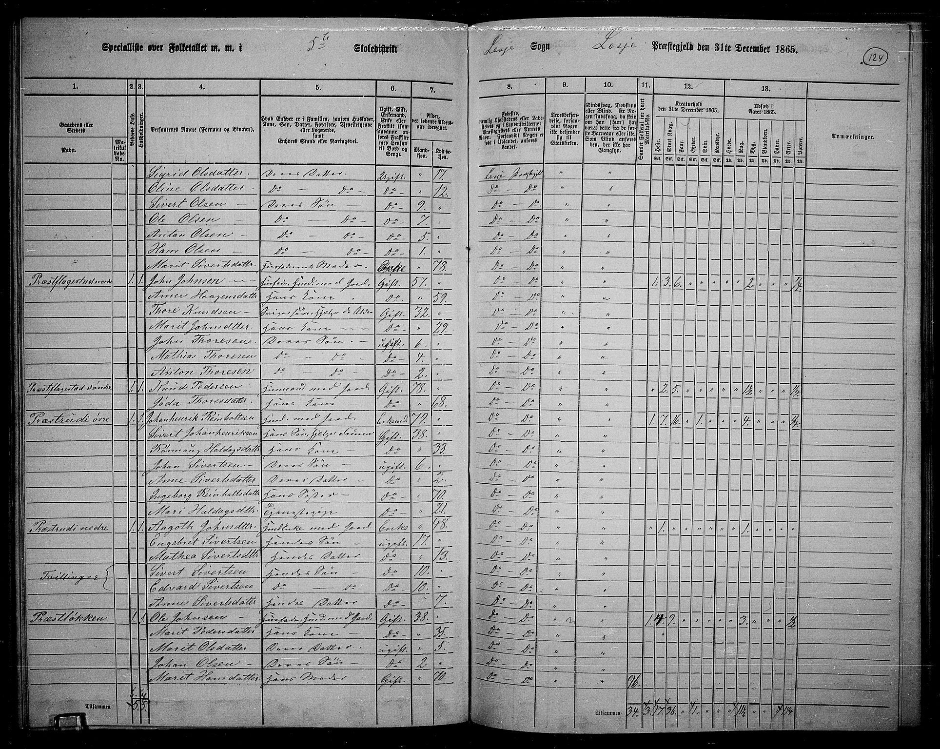 RA, 1865 census for Lesja, 1865, p. 111