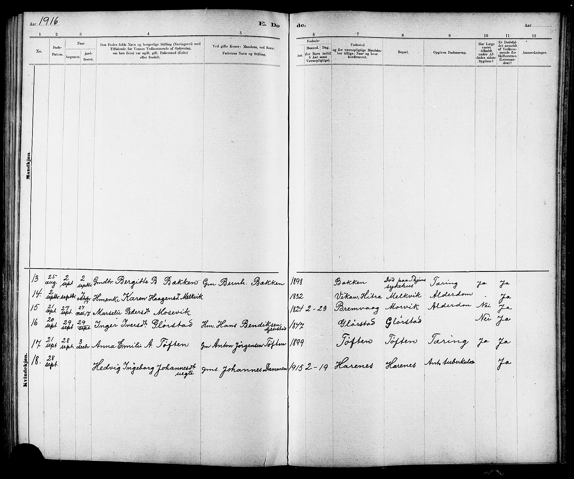 Ministerialprotokoller, klokkerbøker og fødselsregistre - Sør-Trøndelag, AV/SAT-A-1456/634/L0542: Parish register (copy) no. 634C04, 1892-1916