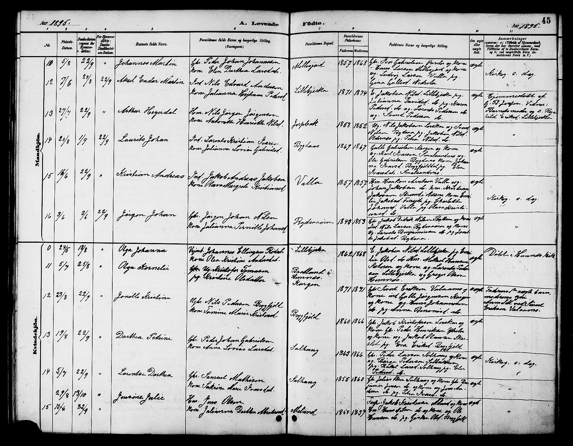 Ministerialprotokoller, klokkerbøker og fødselsregistre - Nordland, AV/SAT-A-1459/826/L0383: Parish register (copy) no. 826C03, 1887-1896, p. 45