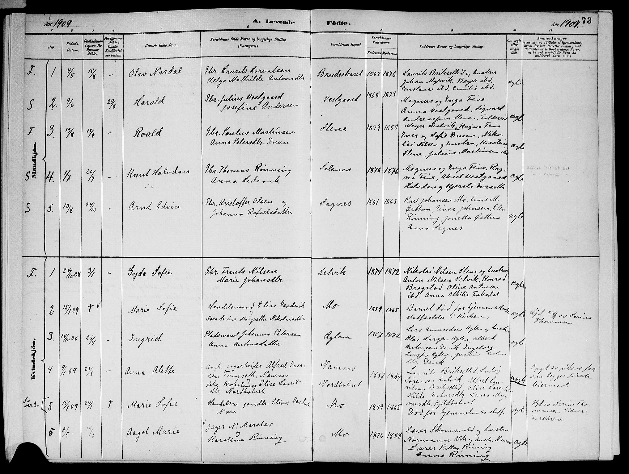 Ministerialprotokoller, klokkerbøker og fødselsregistre - Nord-Trøndelag, AV/SAT-A-1458/773/L0617: Parish register (official) no. 773A08, 1887-1910, p. 73