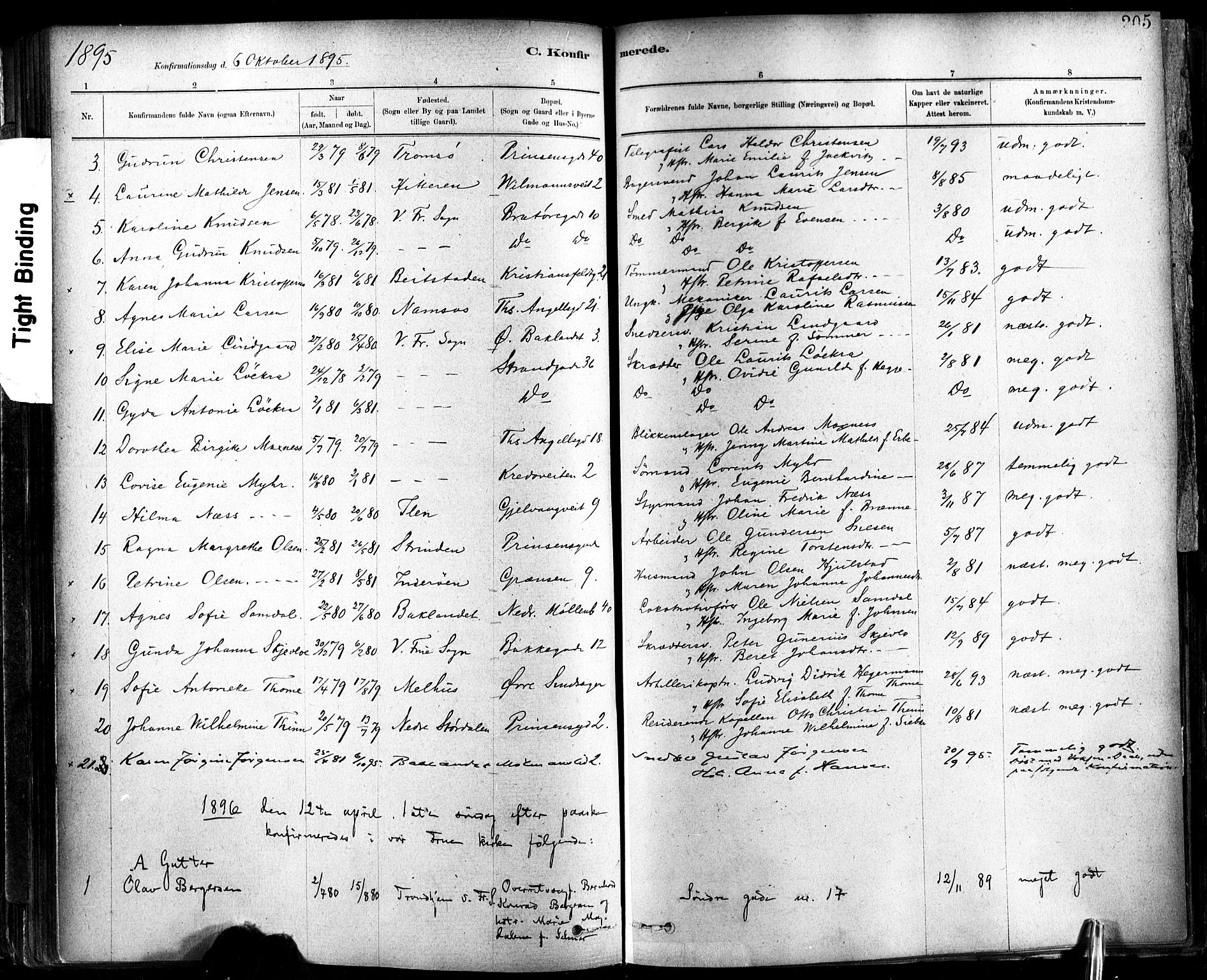 Ministerialprotokoller, klokkerbøker og fødselsregistre - Sør-Trøndelag, SAT/A-1456/602/L0119: Parish register (official) no. 602A17, 1880-1901, p. 205