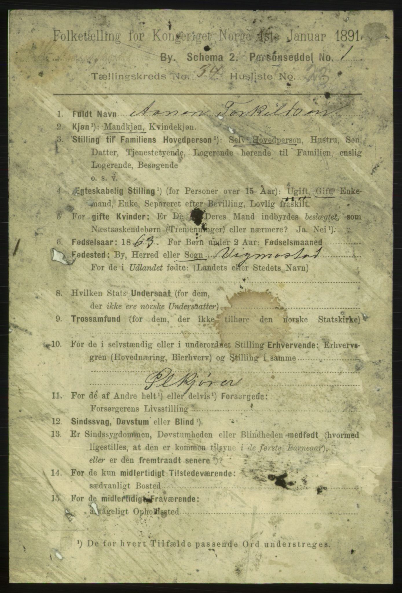 RA, 1891 census for 1001 Kristiansand, 1891, p. 11006