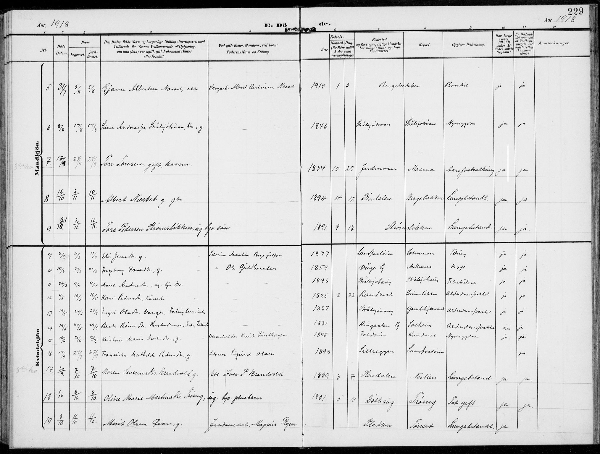 Alvdal prestekontor, SAH/PREST-060/H/Ha/Haa/L0004: Parish register (official) no. 4, 1907-1919, p. 229