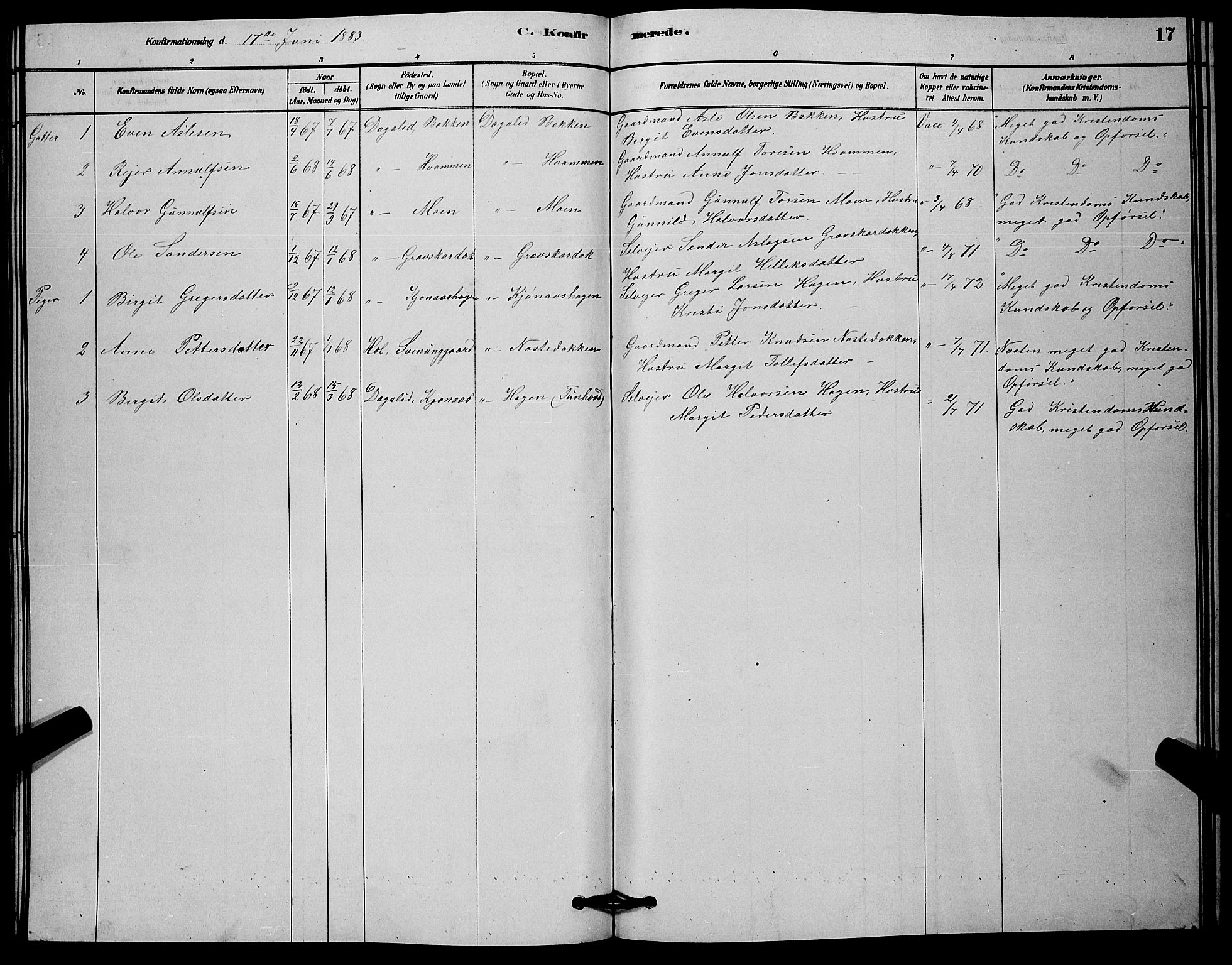 Nore kirkebøker, AV/SAKO-A-238/G/Gc/L0002: Parish register (copy) no. III 2, 1878-1883, p. 17