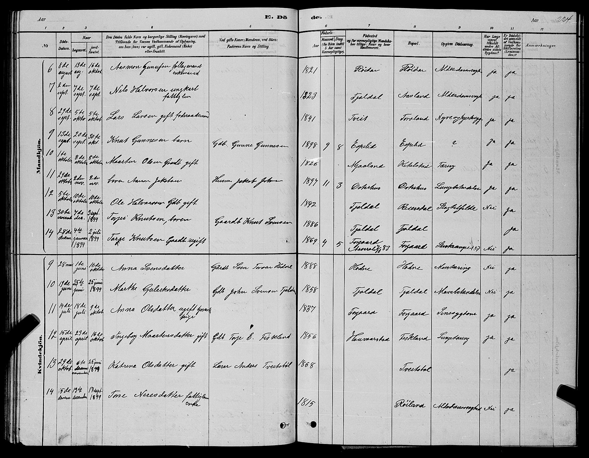 Åseral sokneprestkontor, AV/SAK-1111-0051/F/Fb/L0002: Parish register (copy) no. B 2, 1878-1899, p. 224