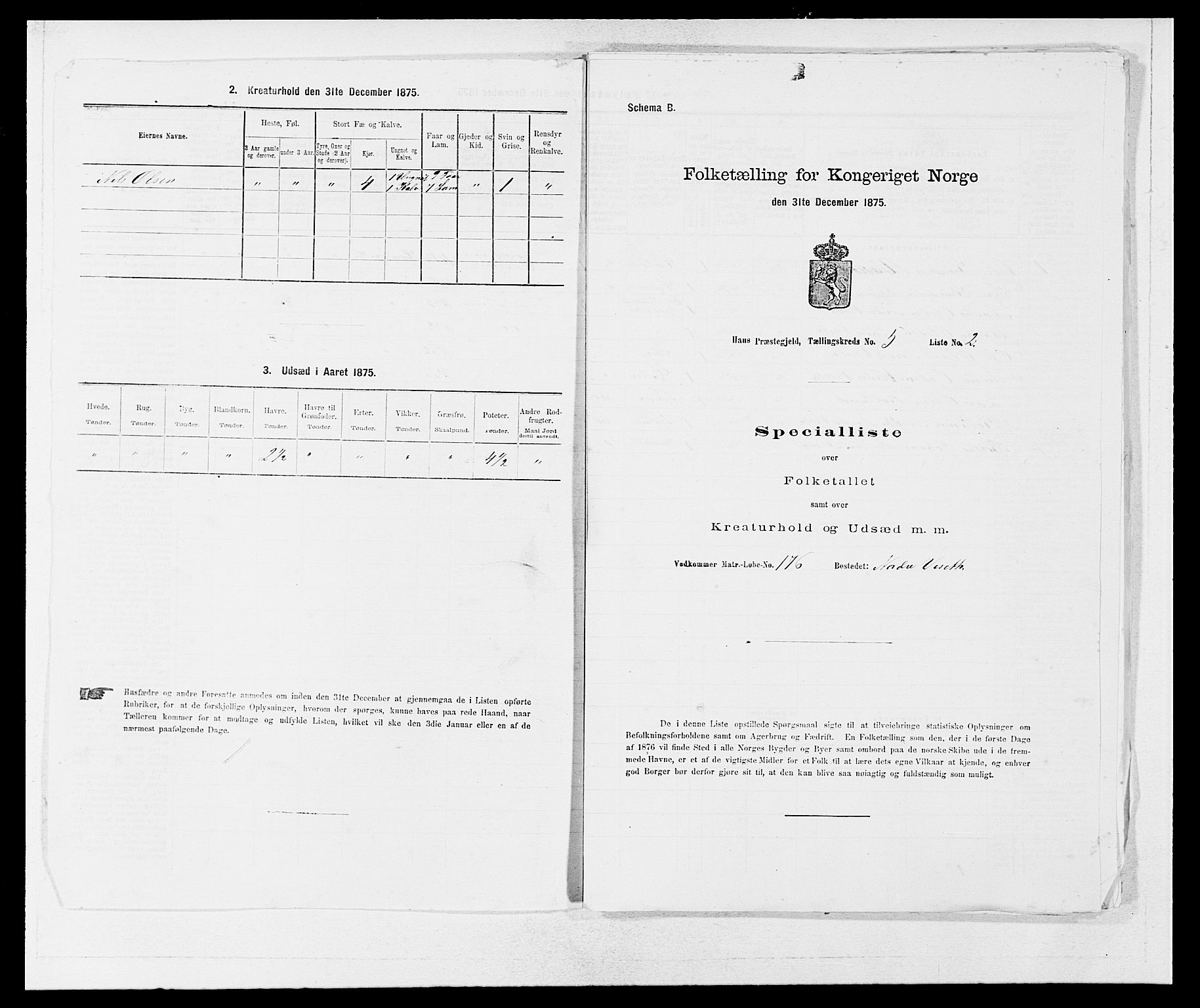 SAB, 1875 census for 1250P Haus, 1875, p. 519