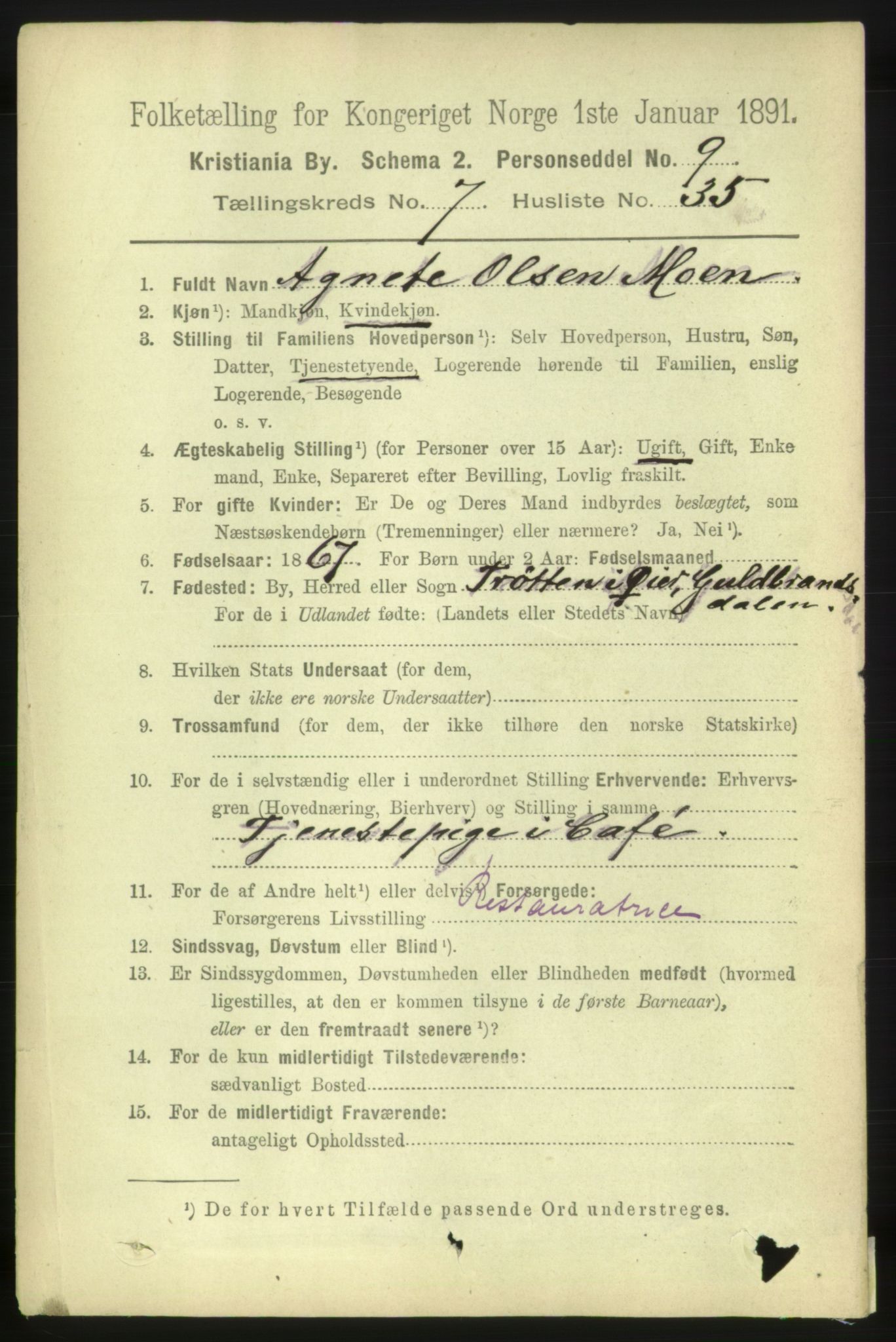 RA, 1891 census for 0301 Kristiania, 1891, p. 3250