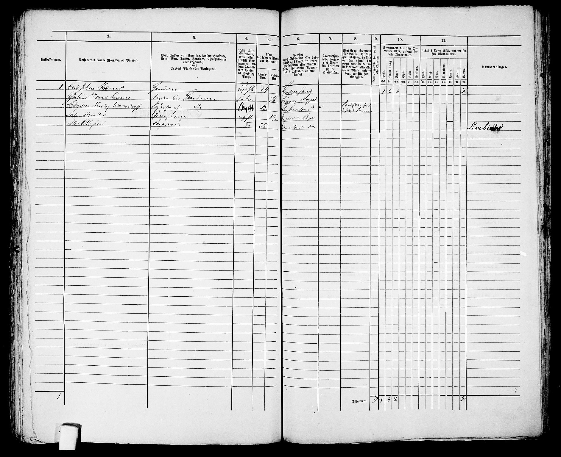 RA, 1865 census for Kristiansand, 1865, p. 2040