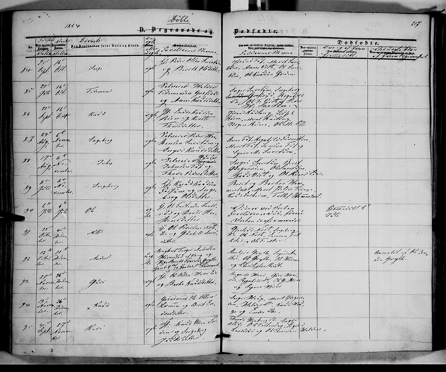 Vestre Slidre prestekontor, AV/SAH-PREST-136/H/Ha/Haa/L0002: Parish register (official) no. 2, 1856-1864, p. 217