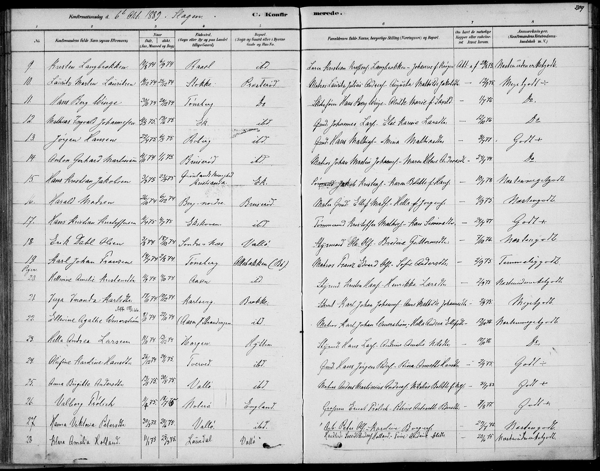 Sem kirkebøker, AV/SAKO-A-5/F/Fb/L0004: Parish register (official) no. II 4, 1878-1891, p. 209