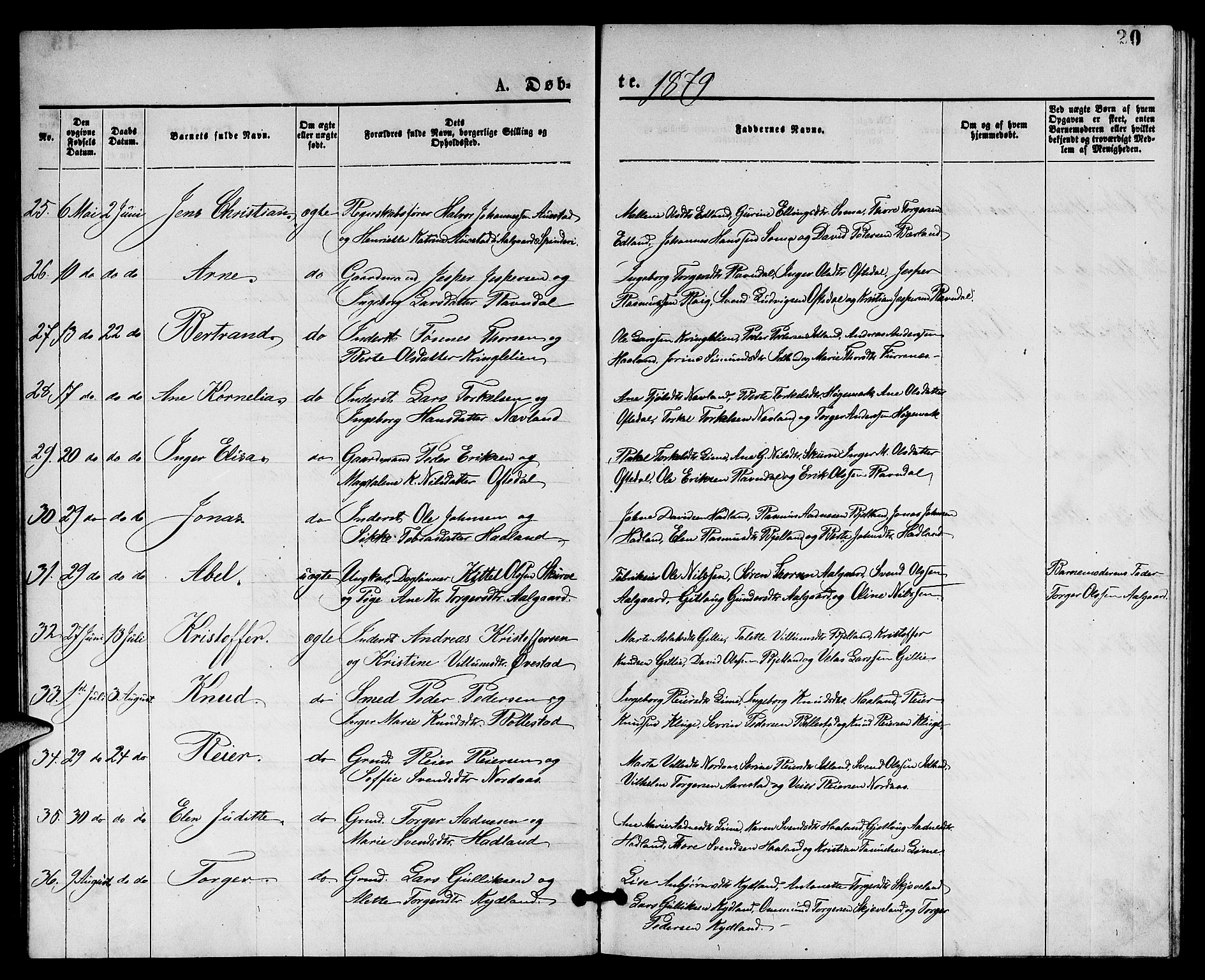 Lye sokneprestkontor, AV/SAST-A-101794/001/30BB/L0005: Parish register (copy) no. B 5, 1875-1886, p. 20