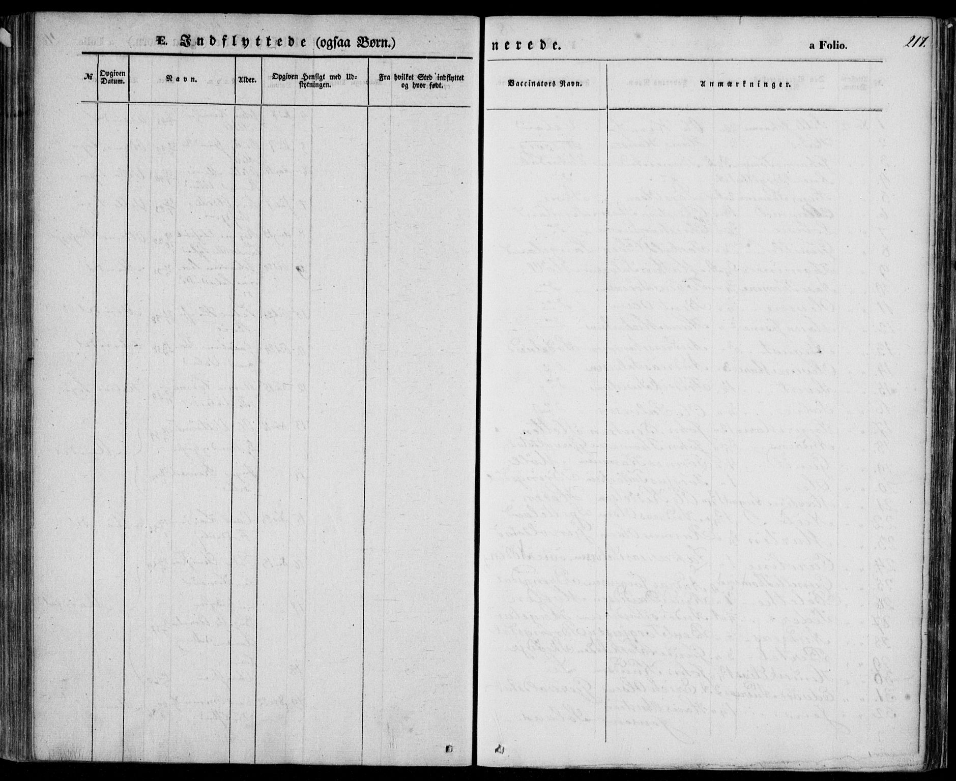 Holum sokneprestkontor, AV/SAK-1111-0022/F/Fa/Faa/L0005: Parish register (official) no. A 5, 1850-1864, p. 217